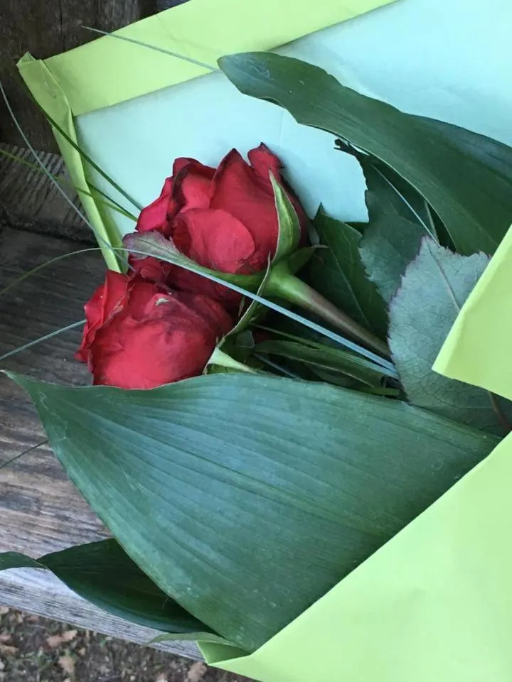 La cabane des amoureux