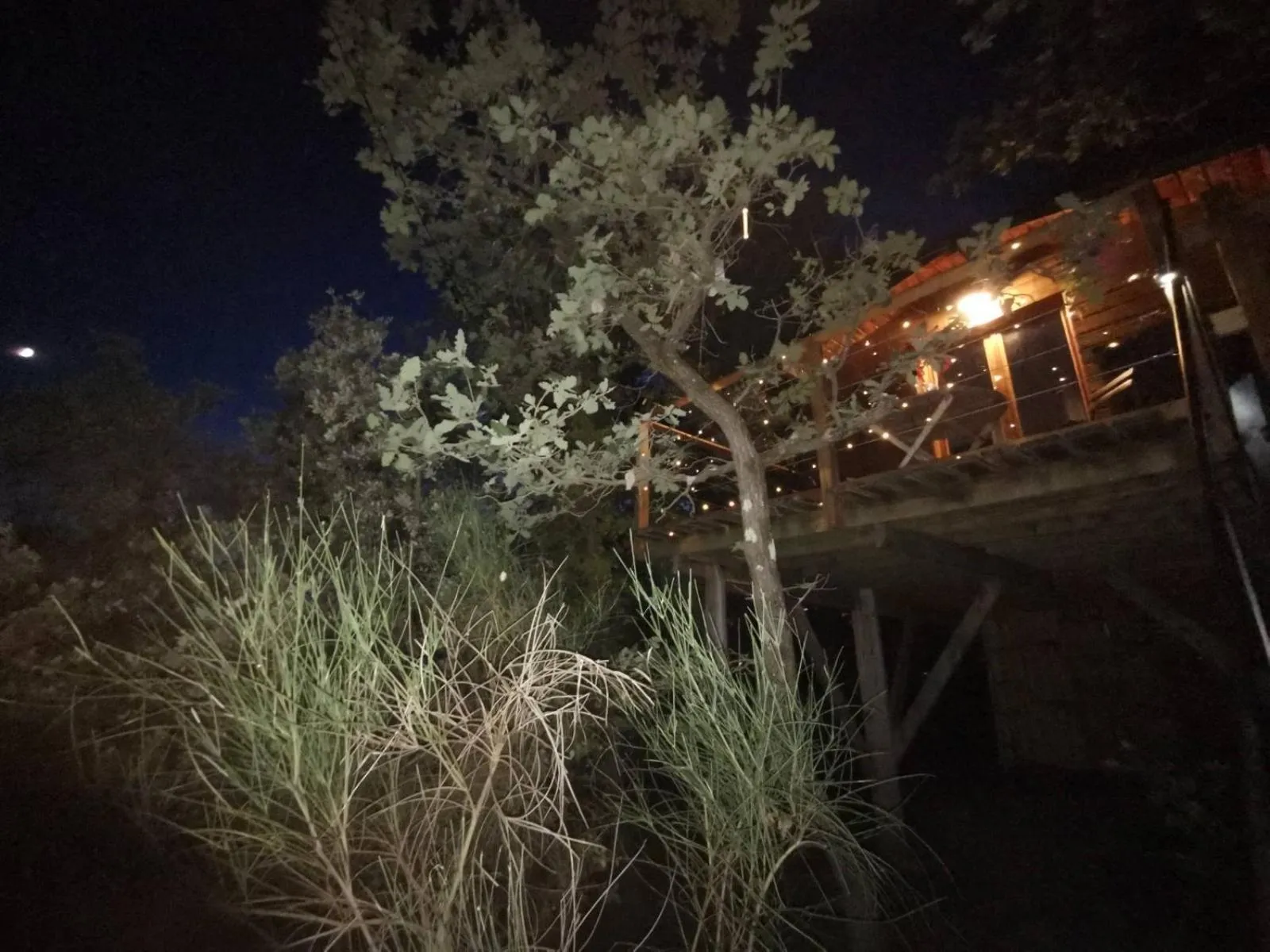 La cabane des amoureux