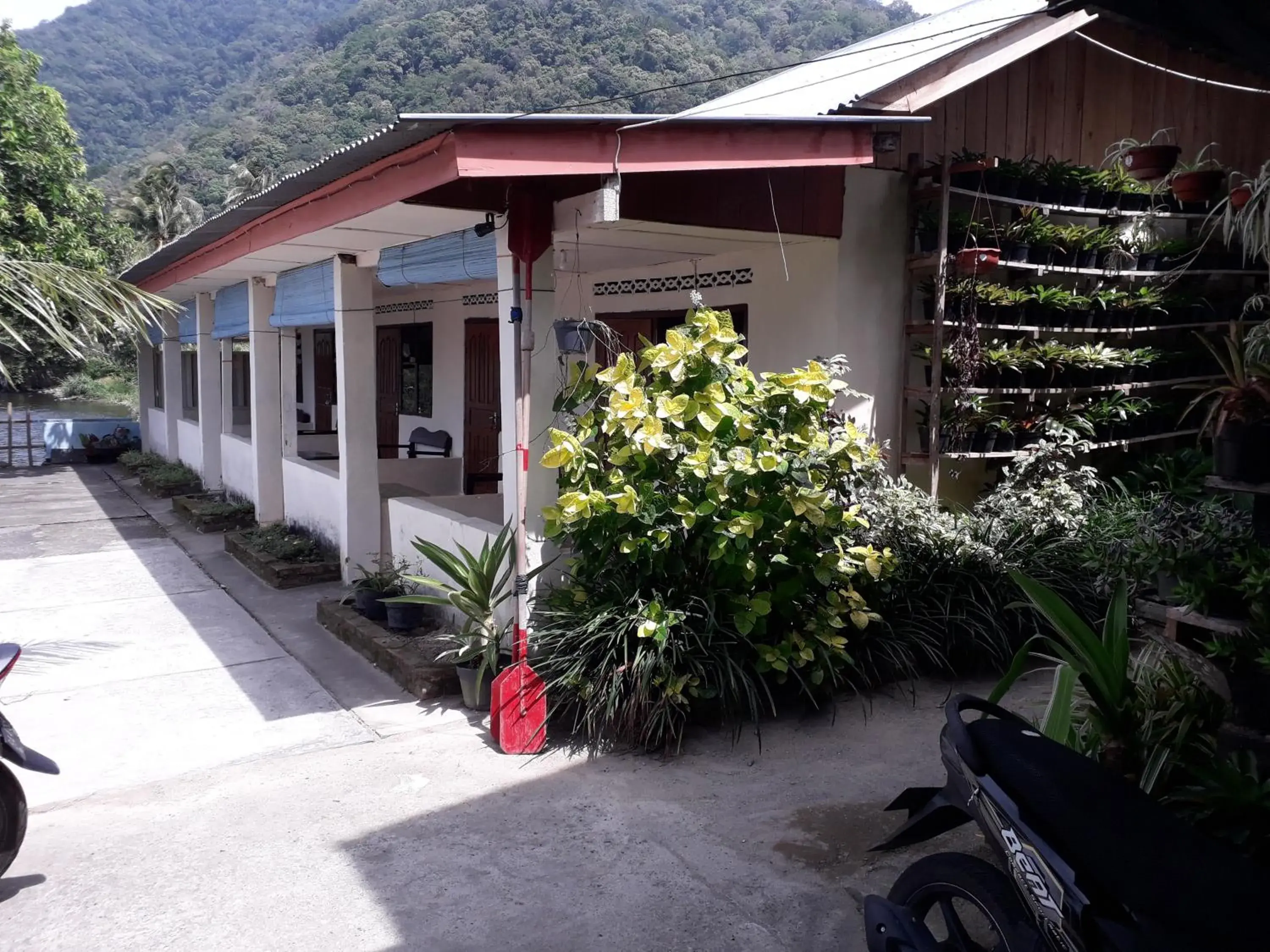 Superior Double Room in Beach Guest House Superior Double Room in Beach Guest House