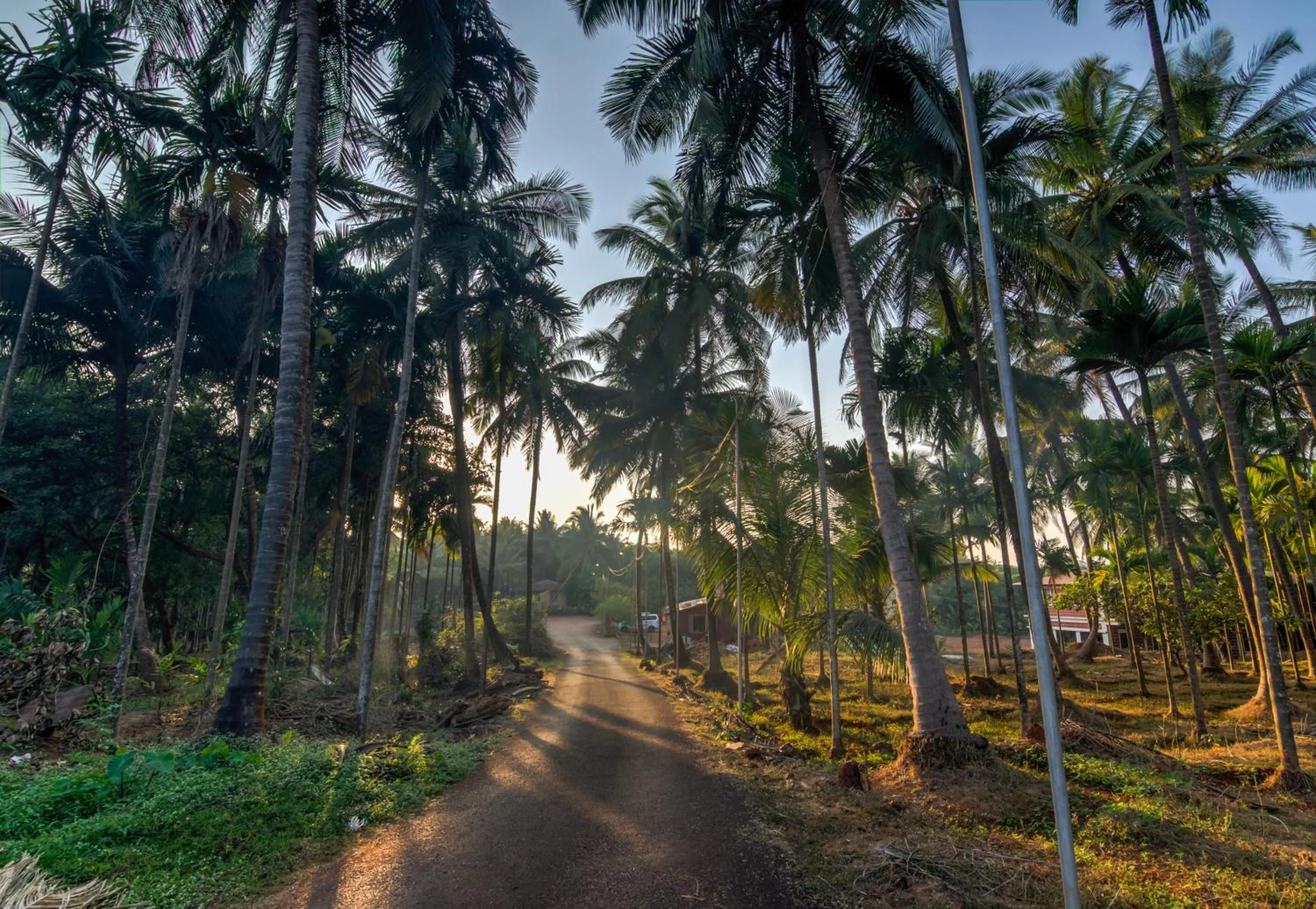 Other in Shantai By the Lake