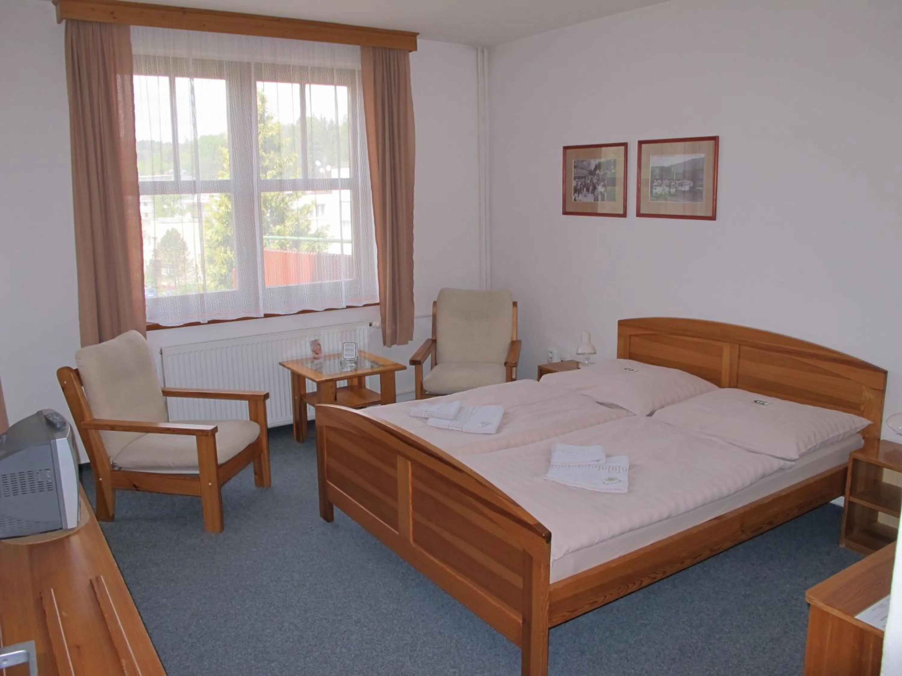 Double Room in Penzion Stella