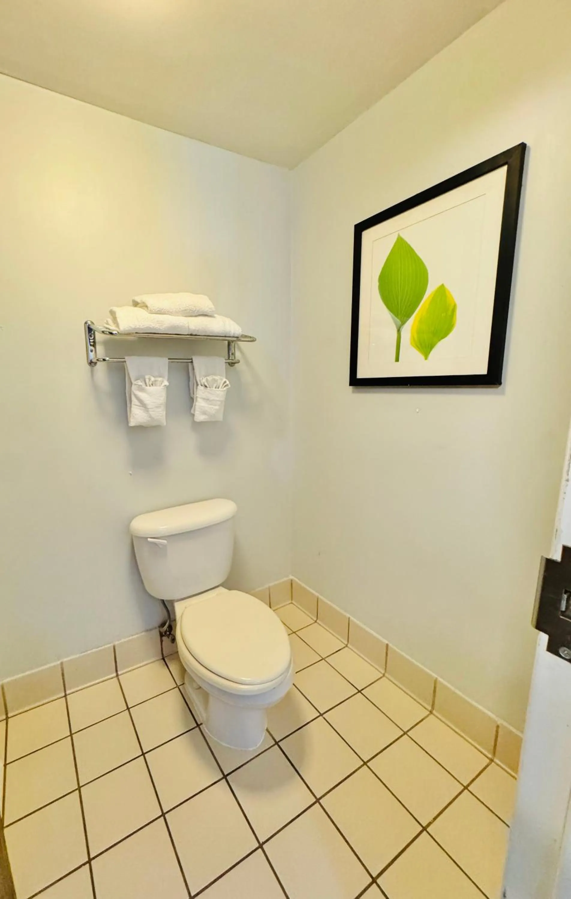 Toilet in Motel 6-Milford, CT