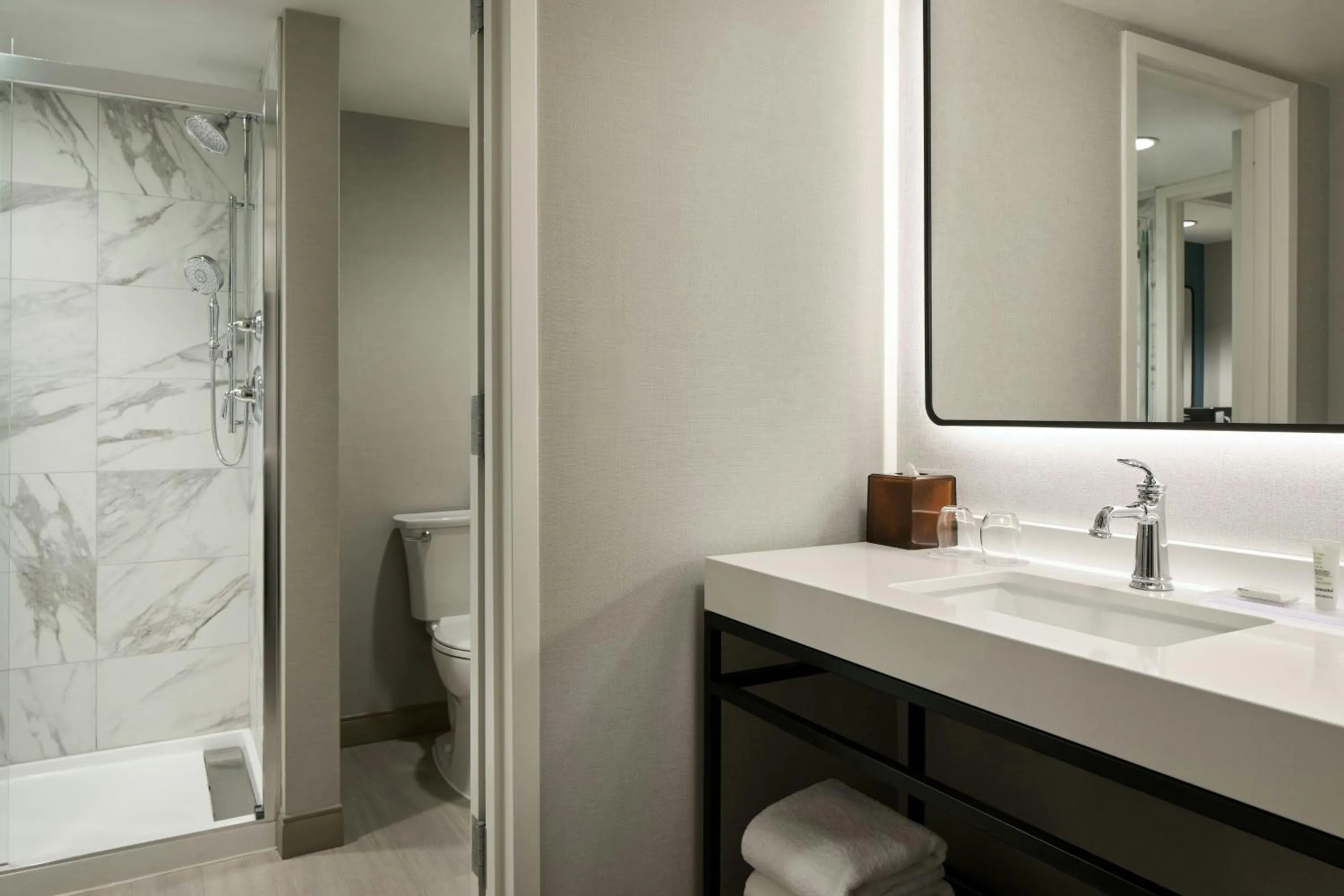 Bathroom in Washington Dulles Marriott Suites