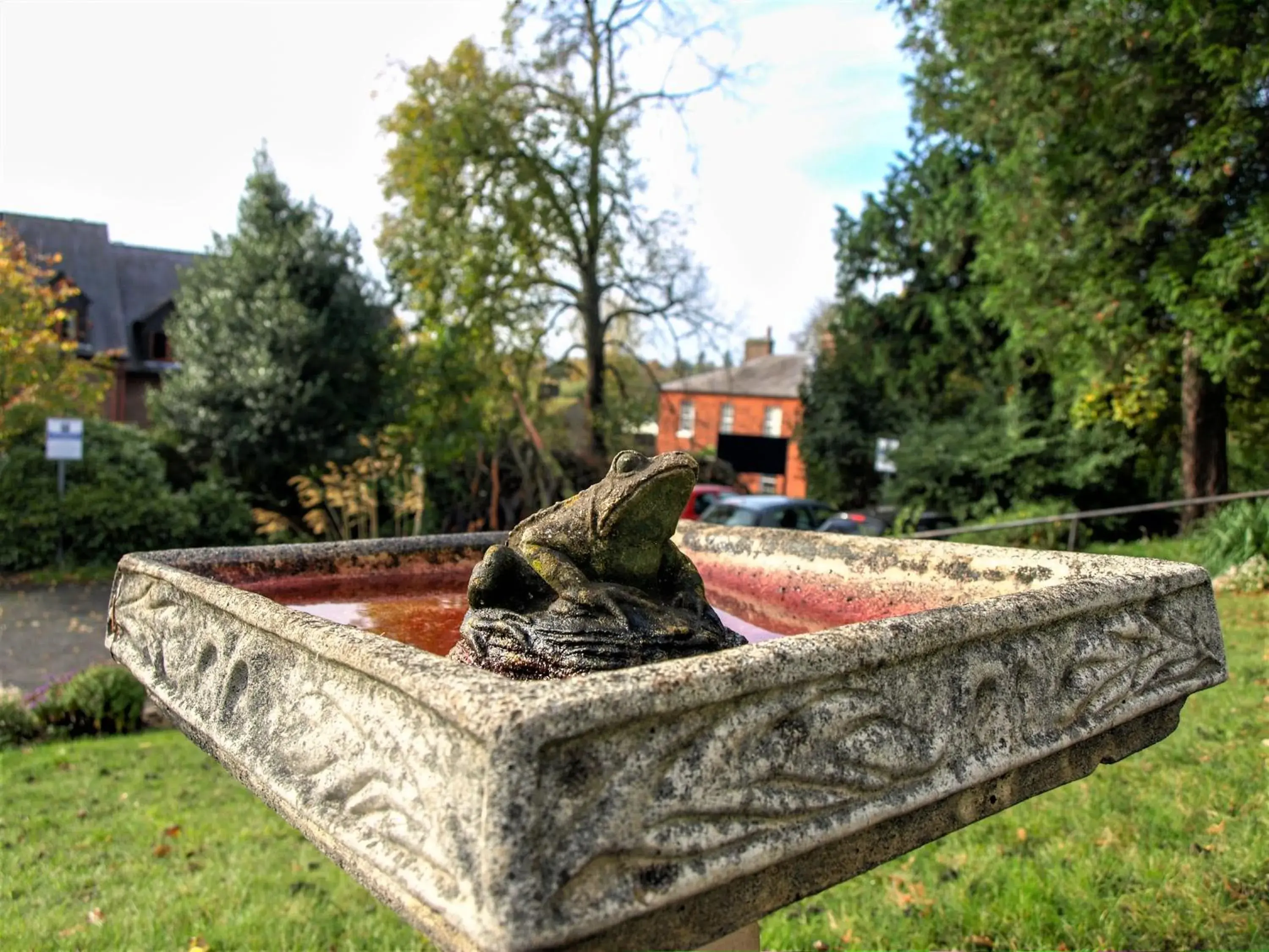 Garden in Torrington Hall Garden in Torrington Hall