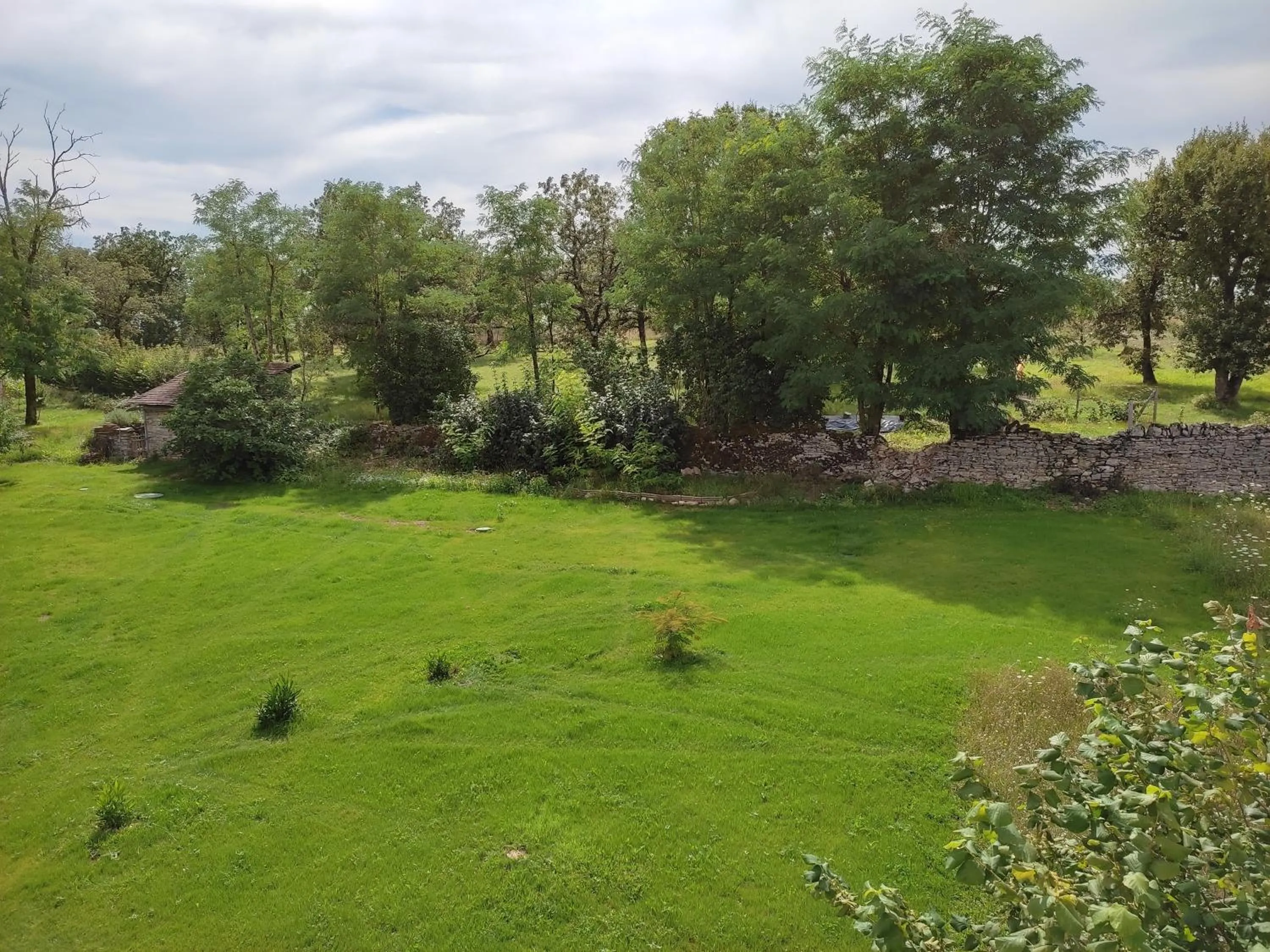 Garden in Hotel des Voyageurs