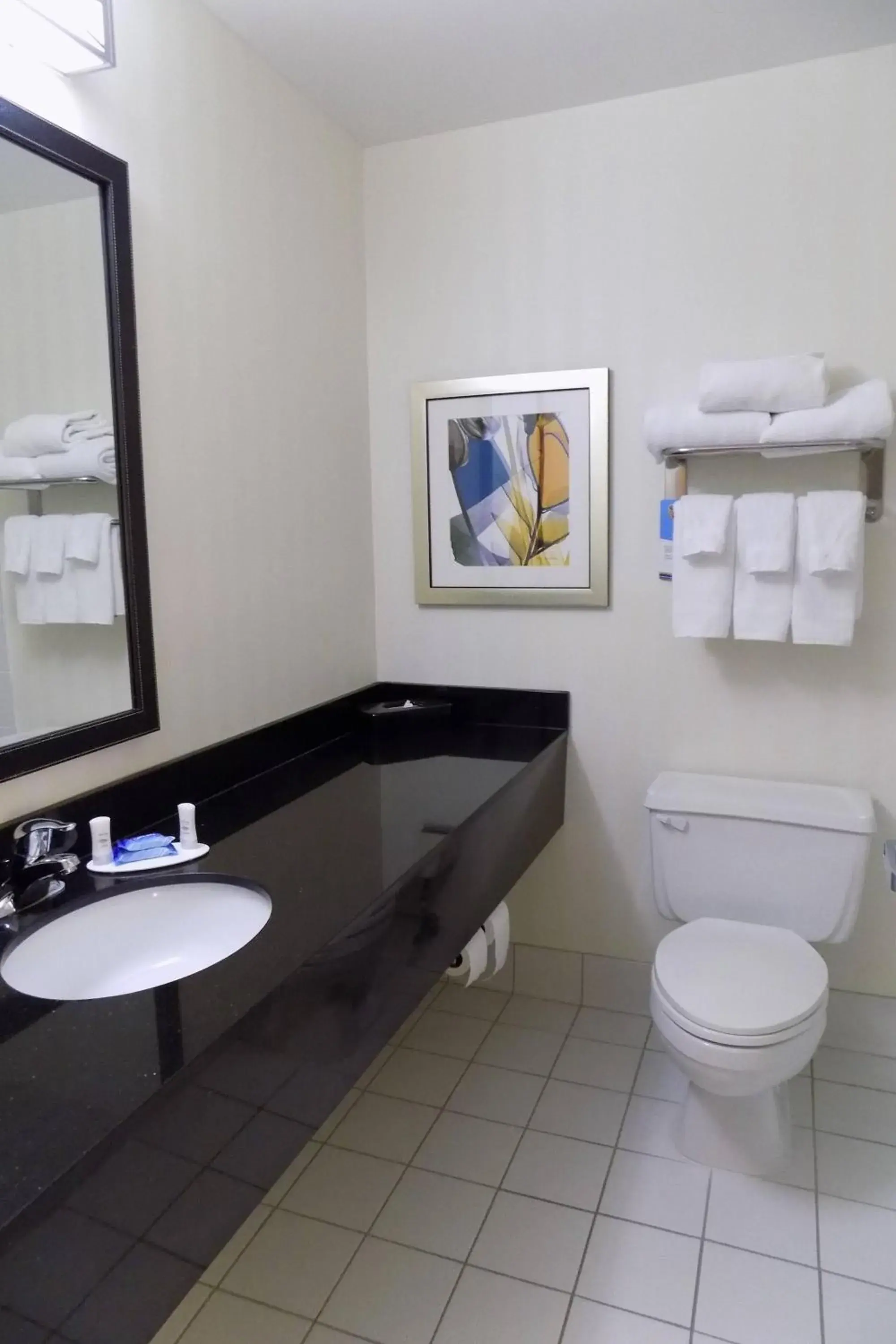 Bathroom in Fairfield Inn by Marriott Indianapolis South