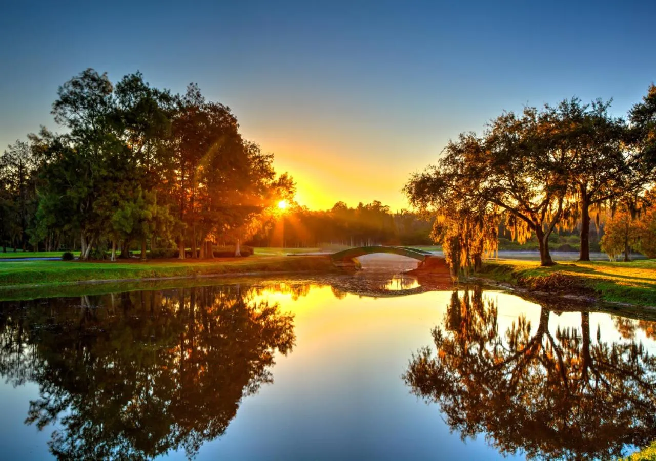 Lake view in Innisbrook Resort