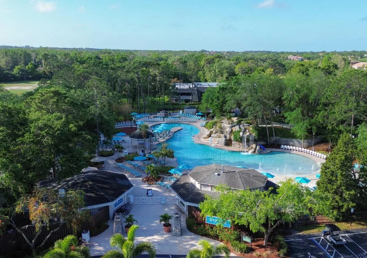 Swimming pool in Innisbrook Resort