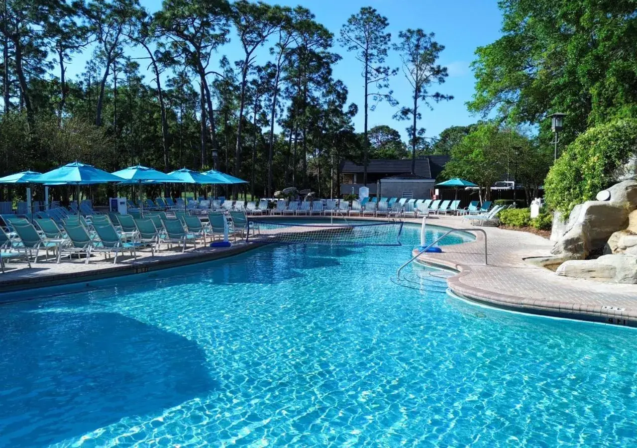 Swimming pool in Innisbrook Resort Swimming pool in Innisbrook Resort