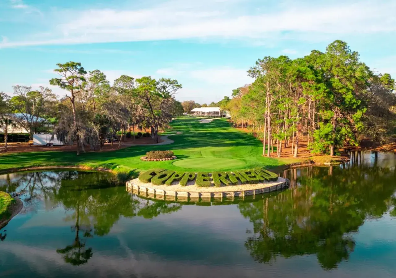 Innisbrook Resort Innisbrook Resort