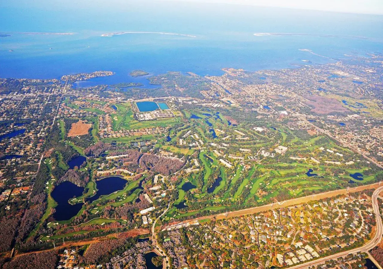 Bird's eye view in Innisbrook Resort Bird's eye view in Innisbrook Resort