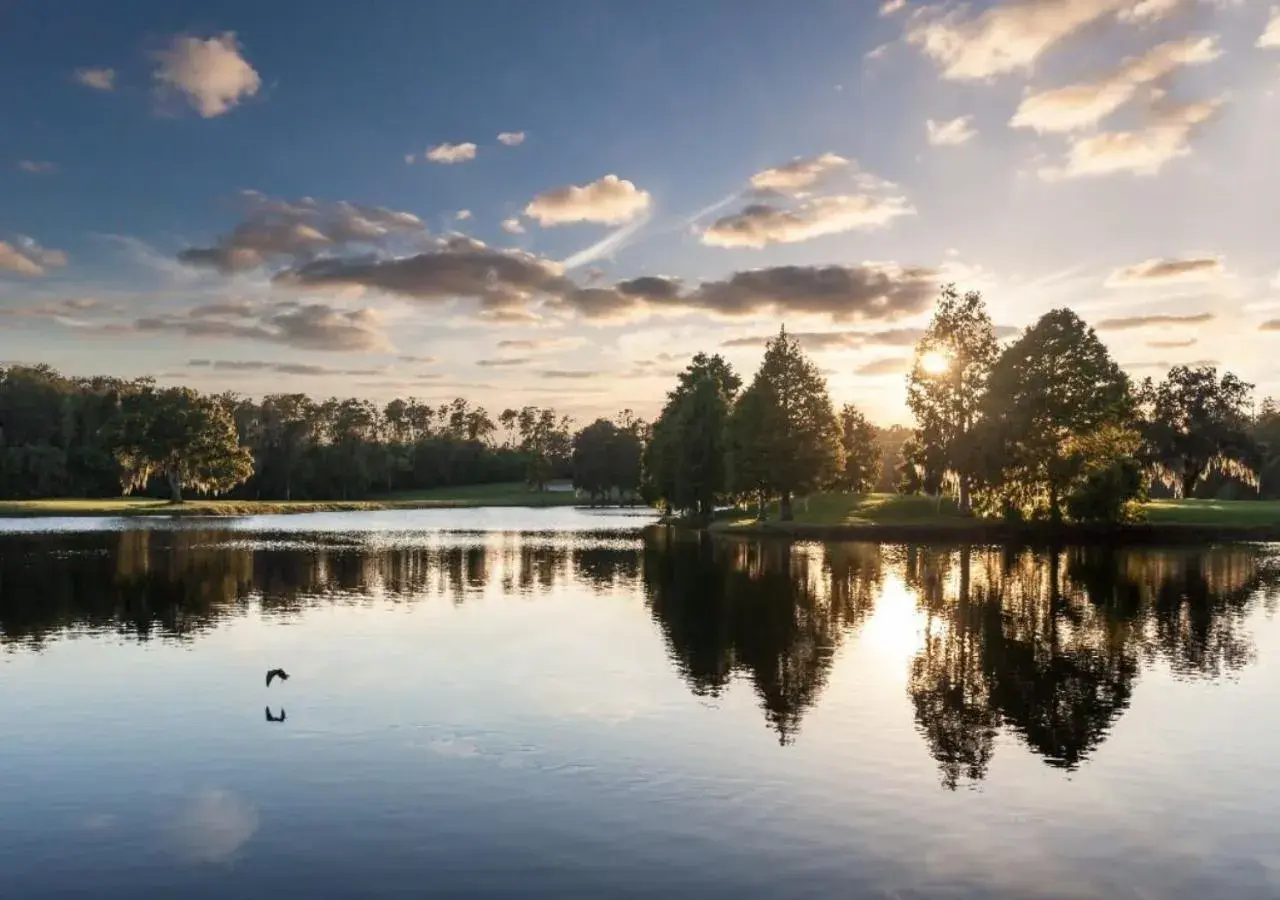 Lake view in Innisbrook Resort Lake view in Innisbrook Resort