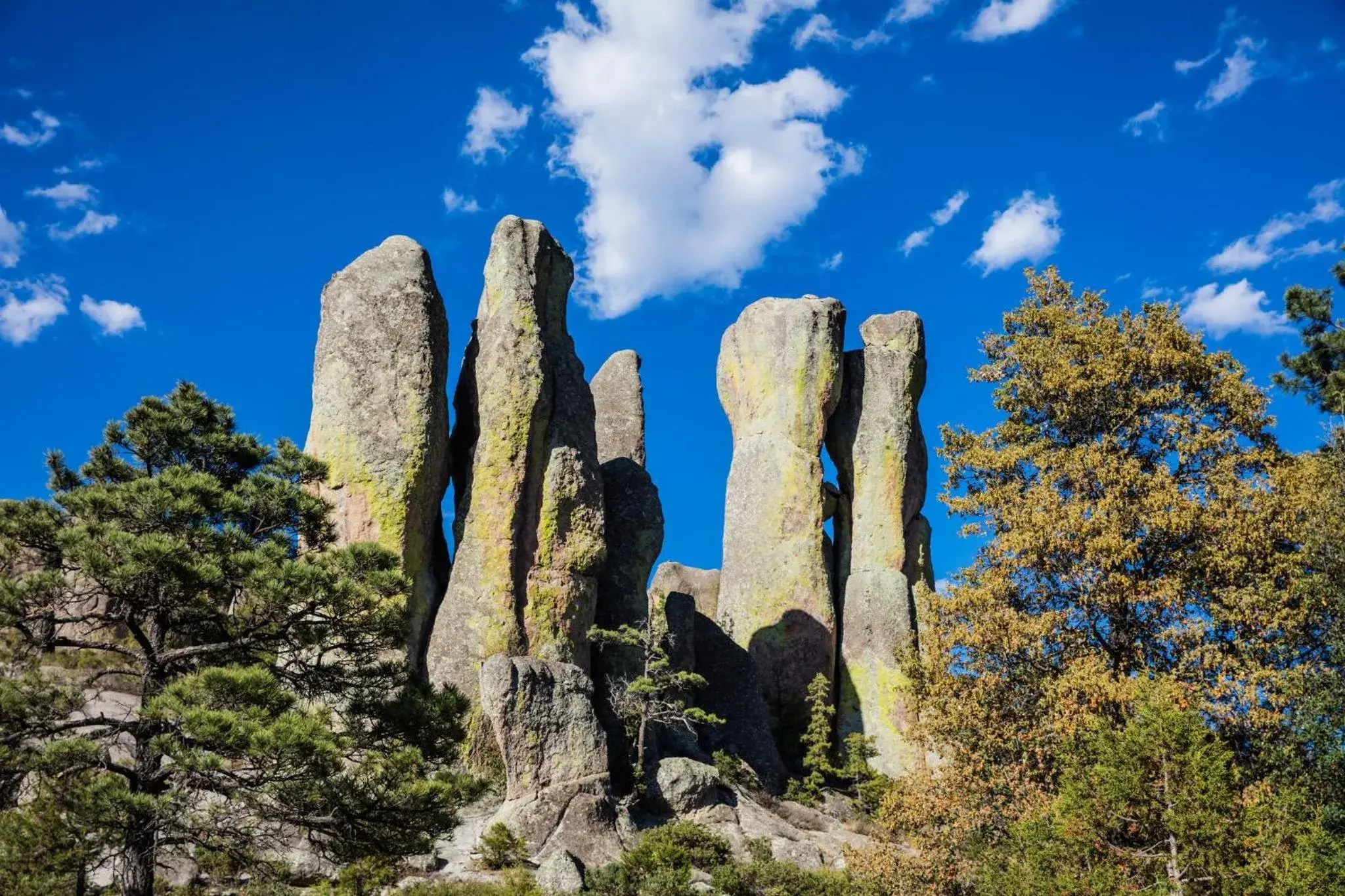 Property building in One Chihuahua Fashion Mall Property building in One Chihuahua Fashion Mall