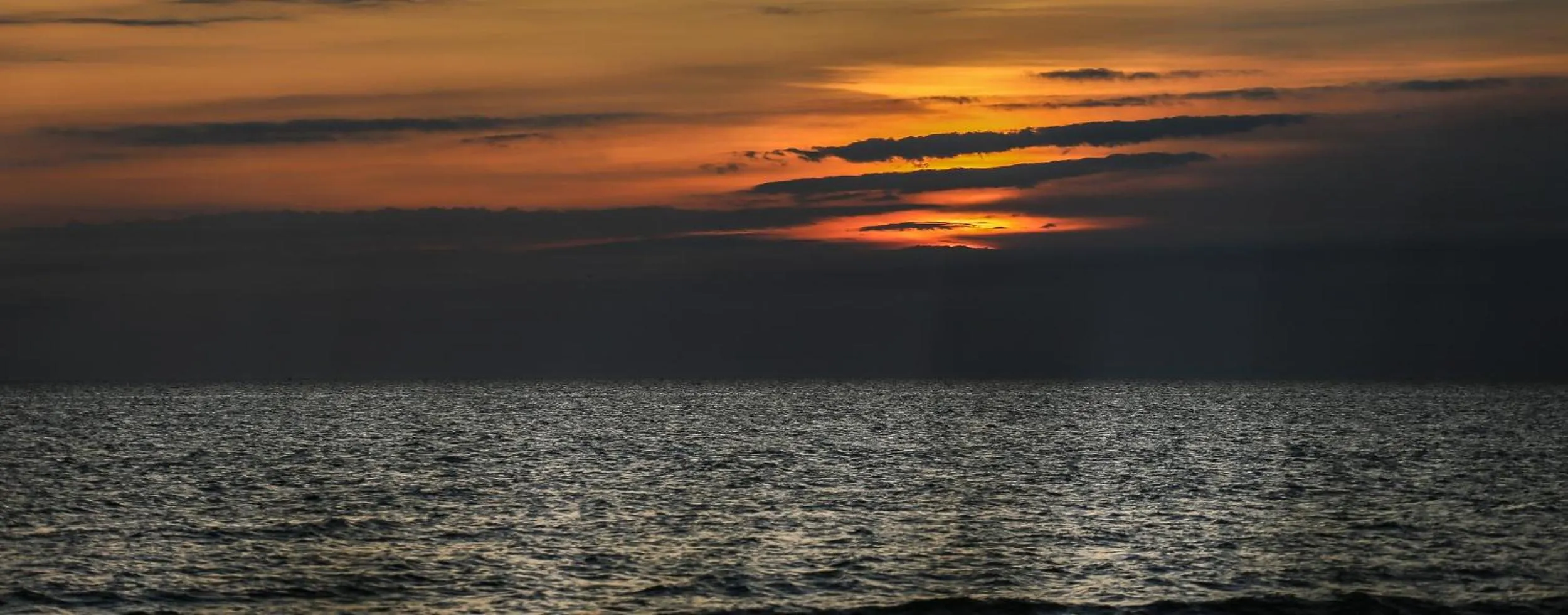 Natural landscape in Ośrodek Wypoczynkowy CHAMPION