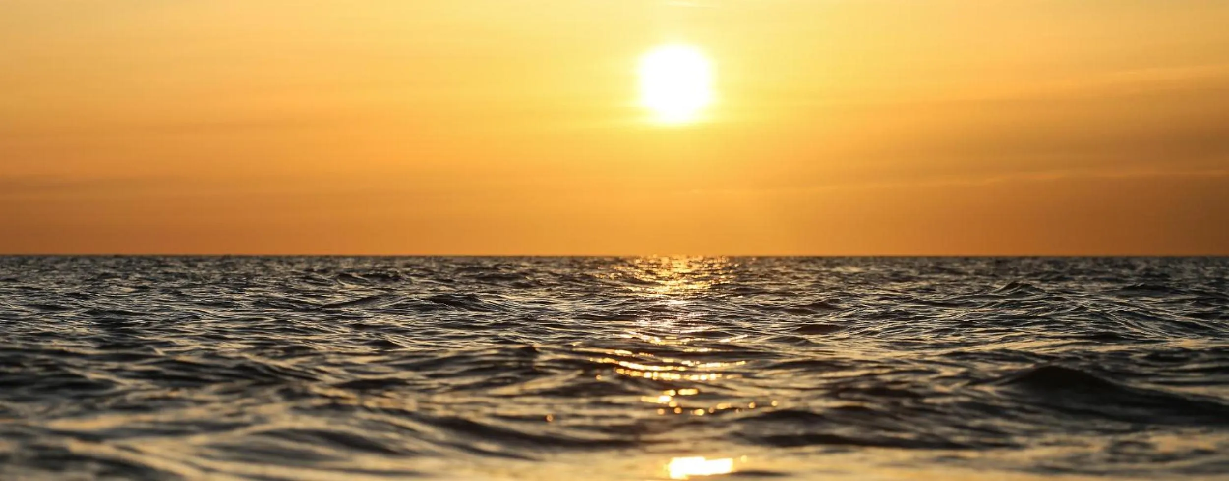 Natural landscape in Ośrodek Wypoczynkowy CHAMPION