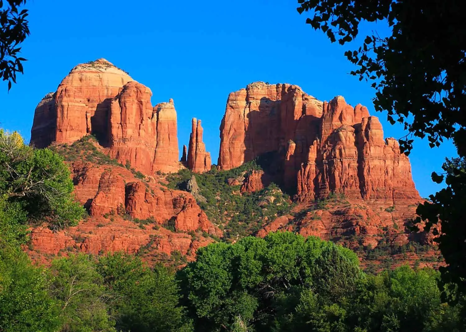 Natural landscape in Studio 6 Flagstaff AZ