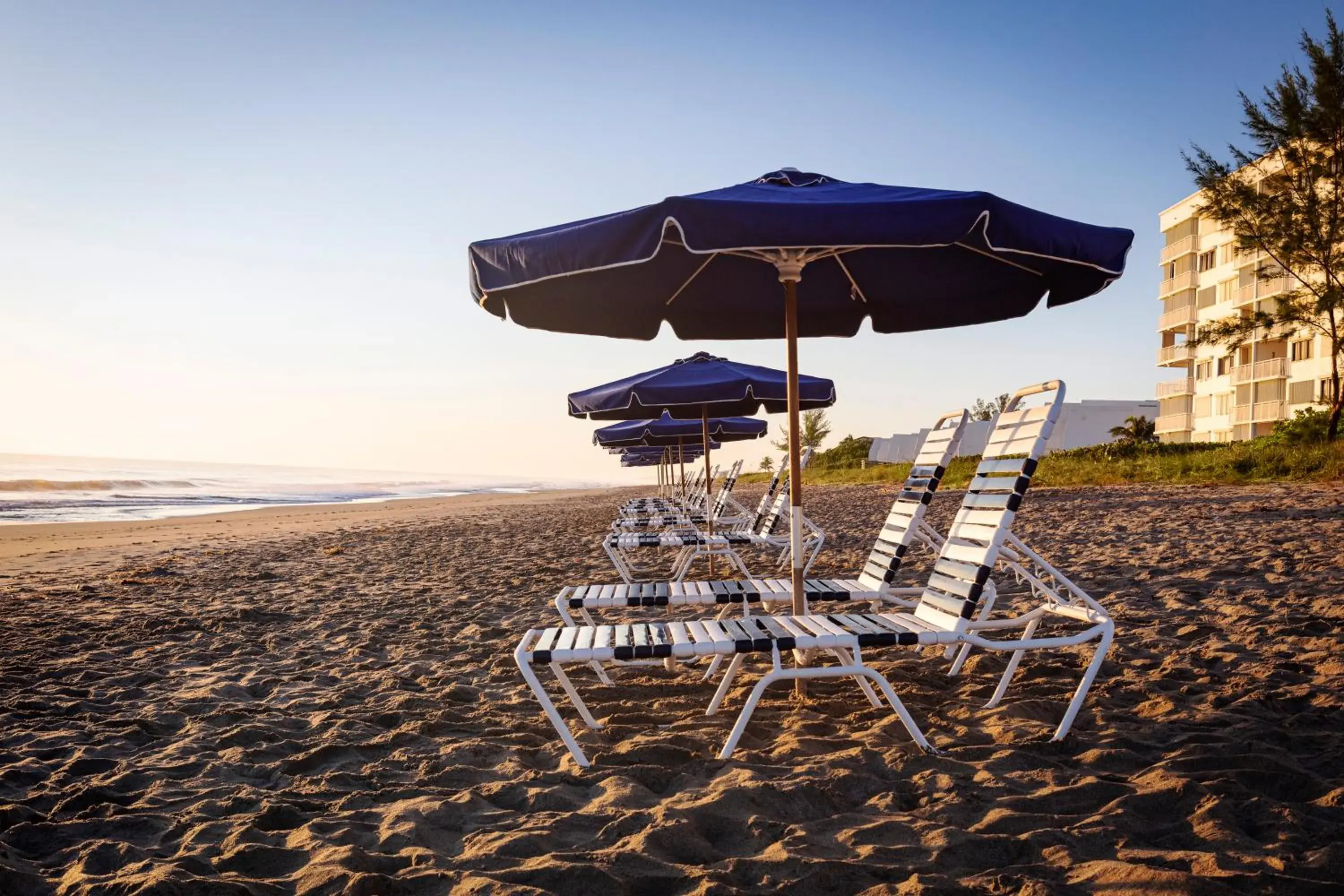 King Room in The Lucie King Room in The Lucie