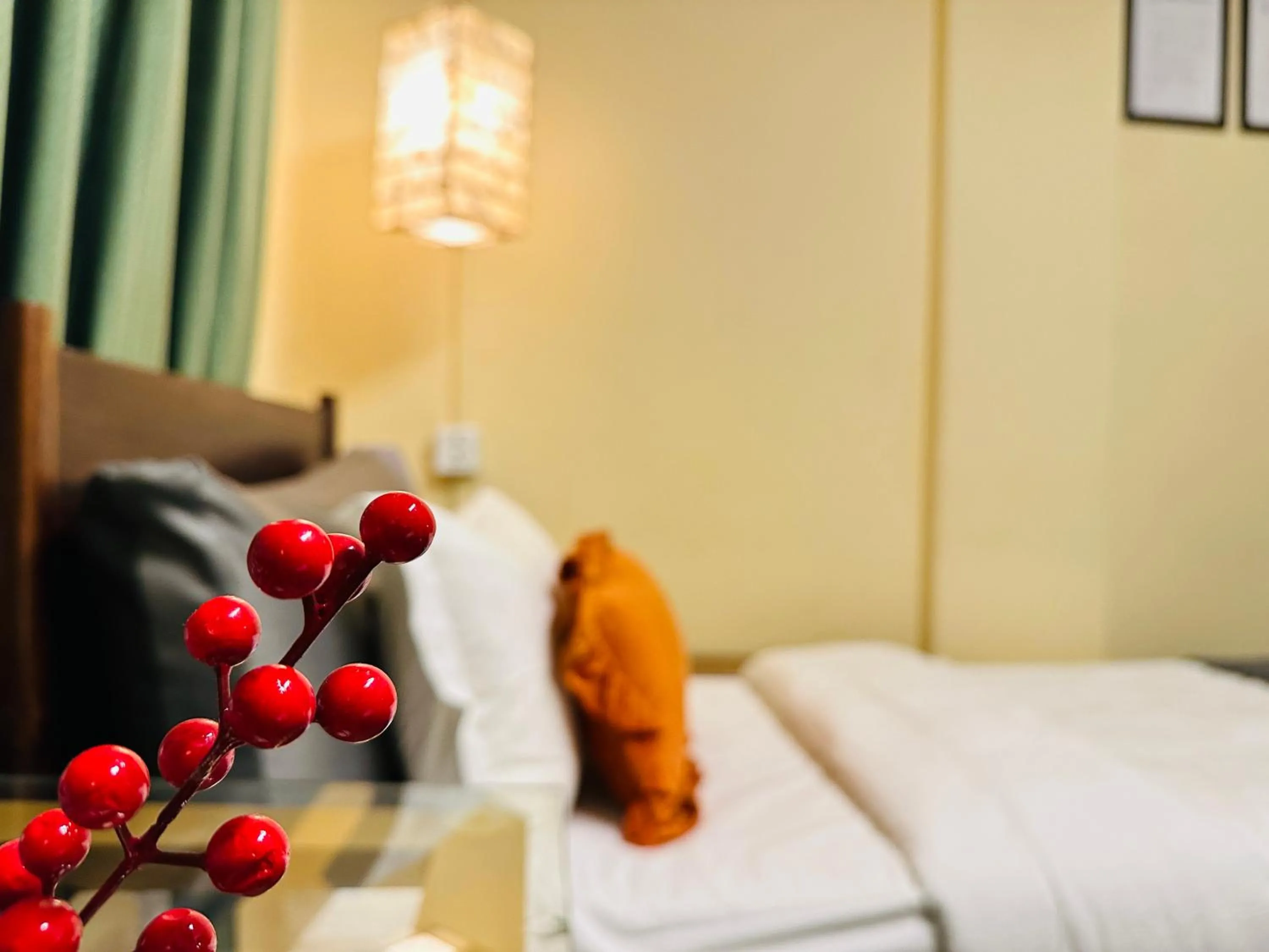 Bed in Hotel Darwin