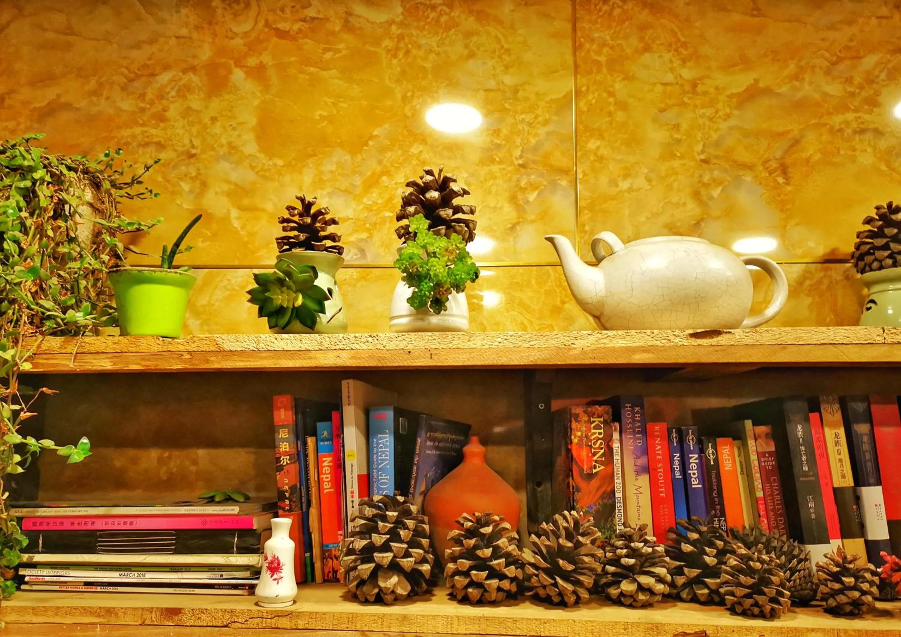 Decorative detail in Hotel Darwin