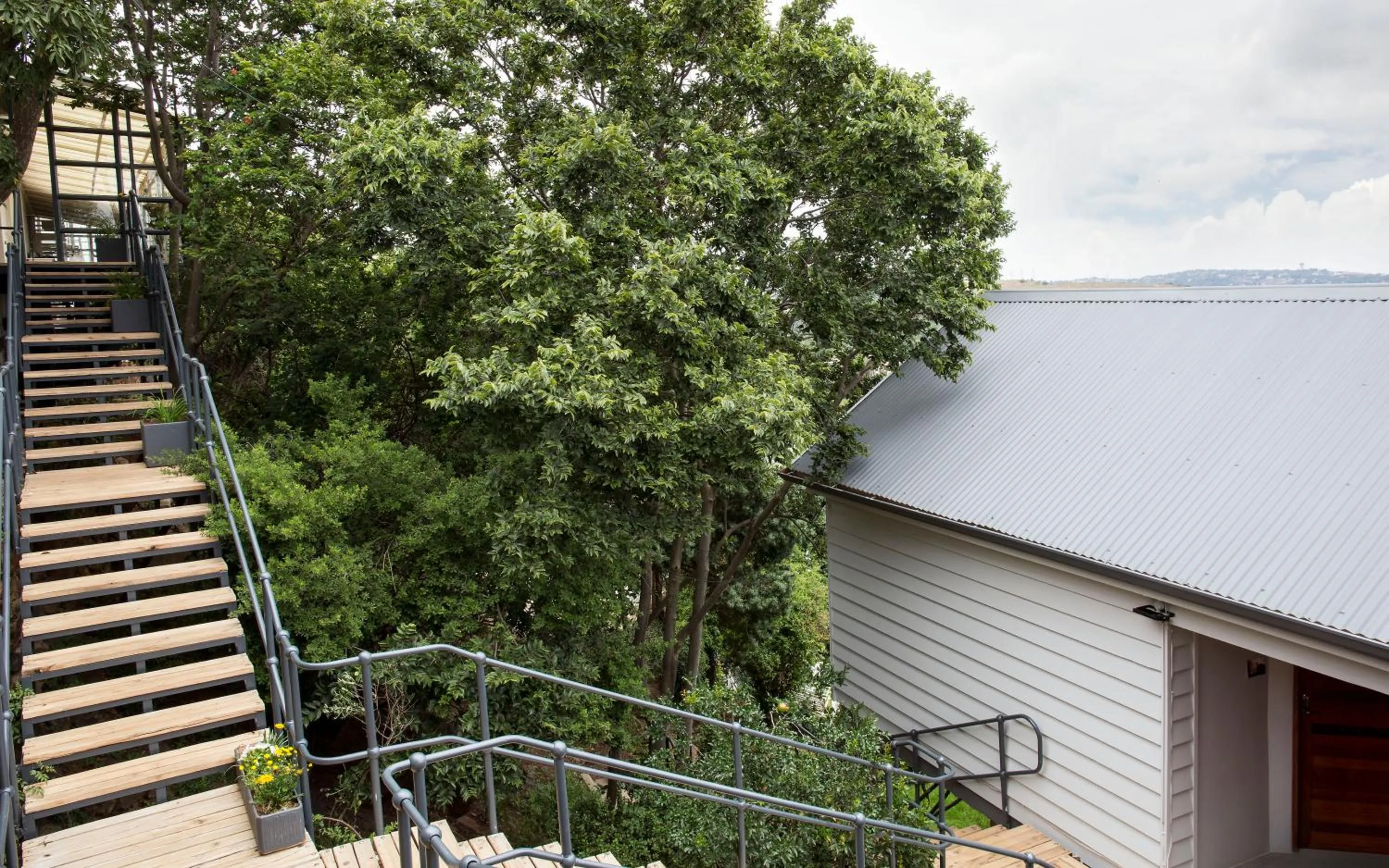 Garden view in Pablo House
