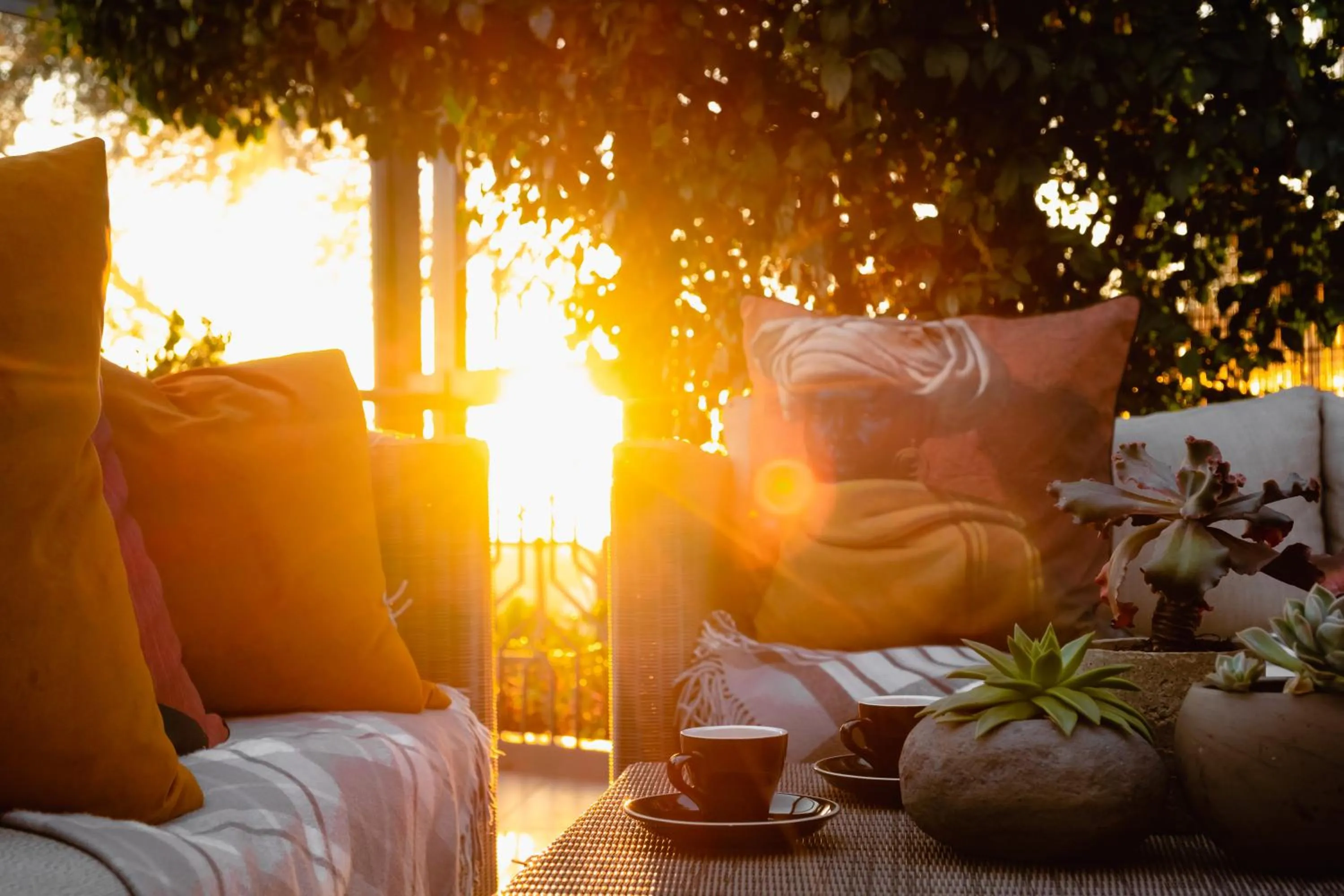 Patio in Pablo House