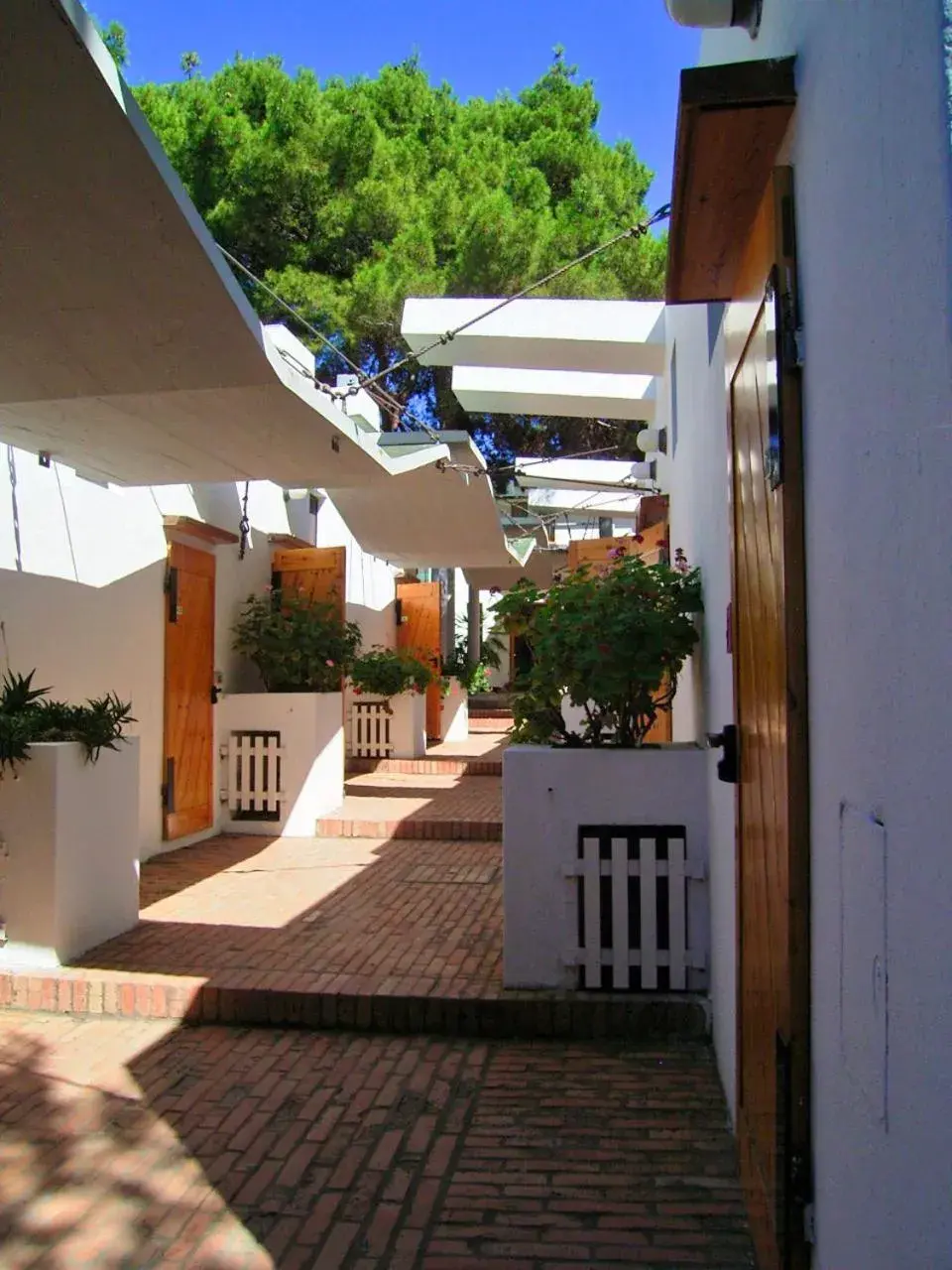 Facade/entrance in Hotel Kyrie Isole Tremiti Facade/entrance in Hotel Kyrie Isole Tremiti