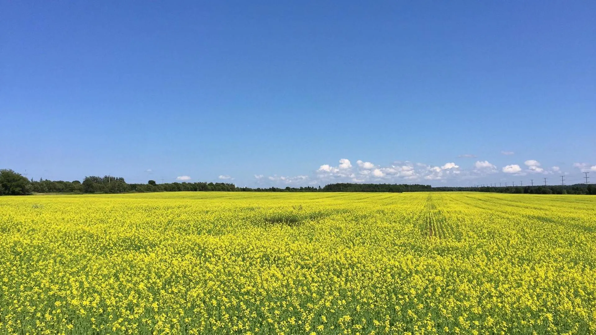Nearby landmark in Green Gables Bungalow Court