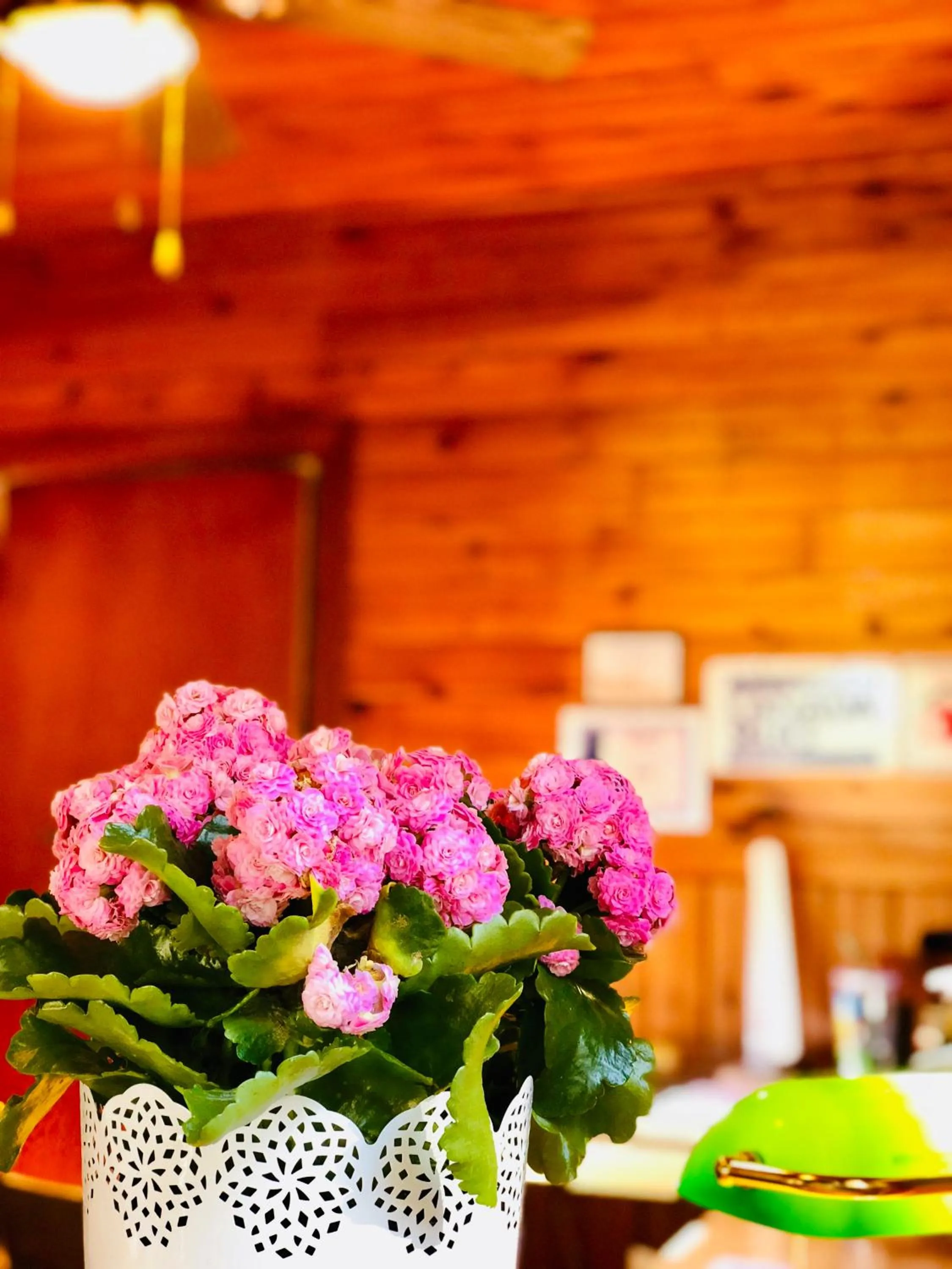 Lobby or reception in Green Gables Bungalow Court