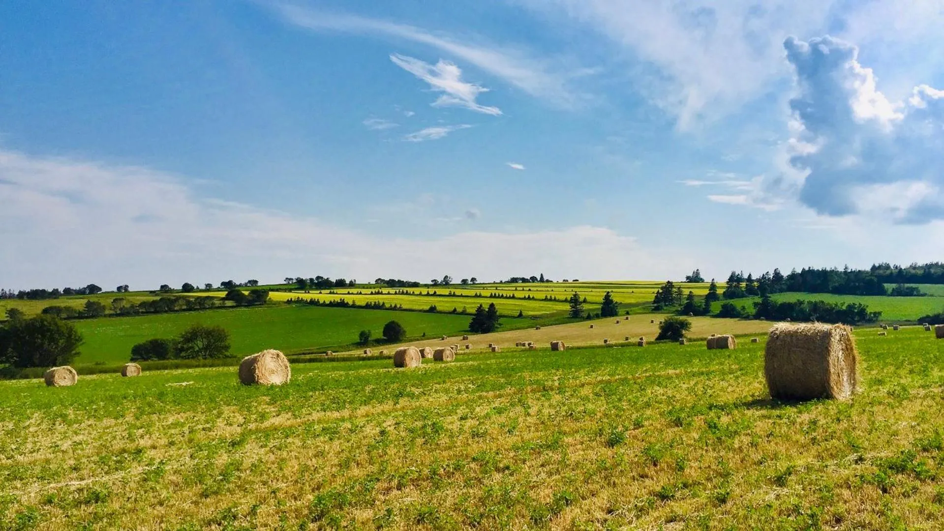 Natural landscape in Green Gables Bungalow Court