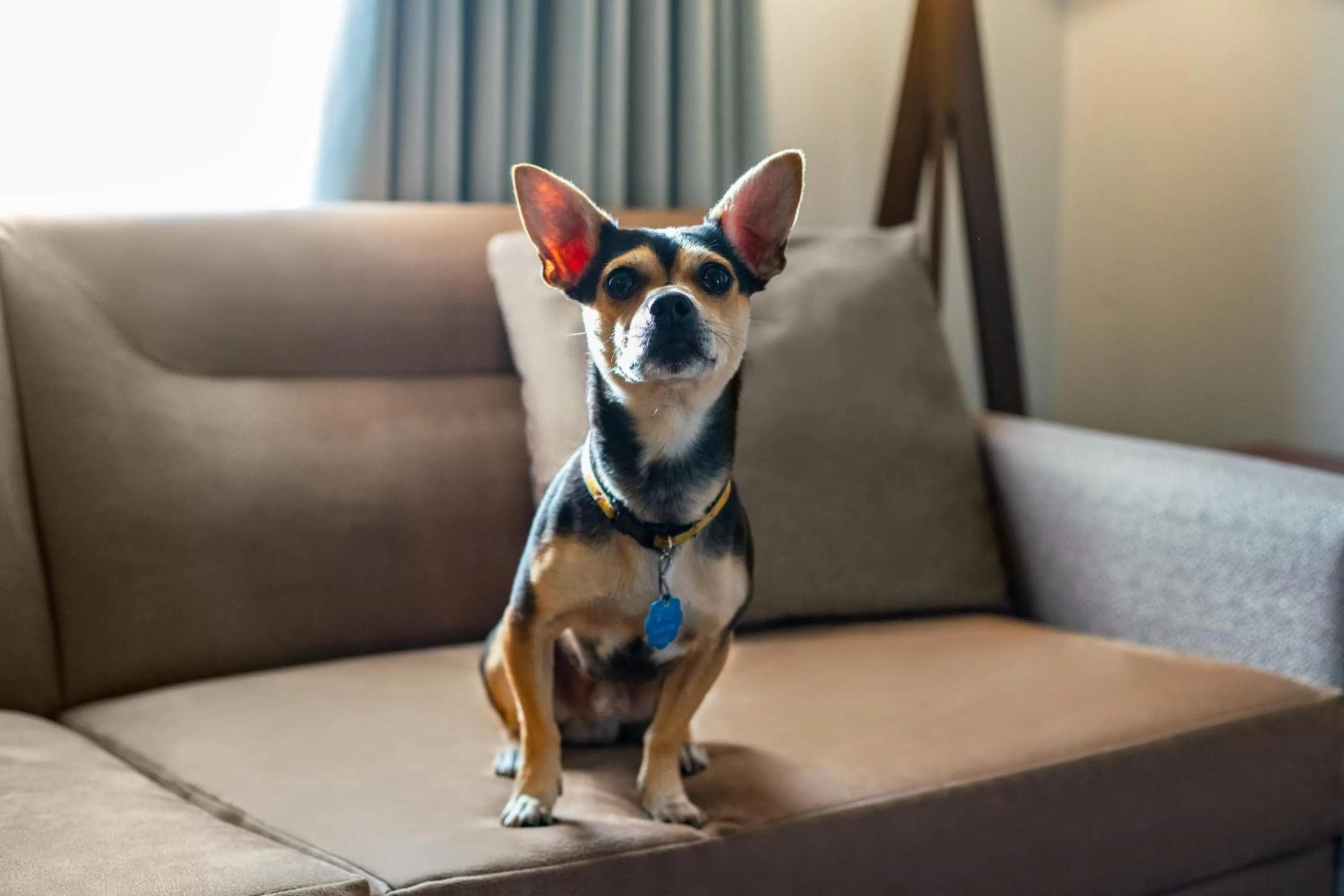 Other in Residence Inn by Marriott Lexington North