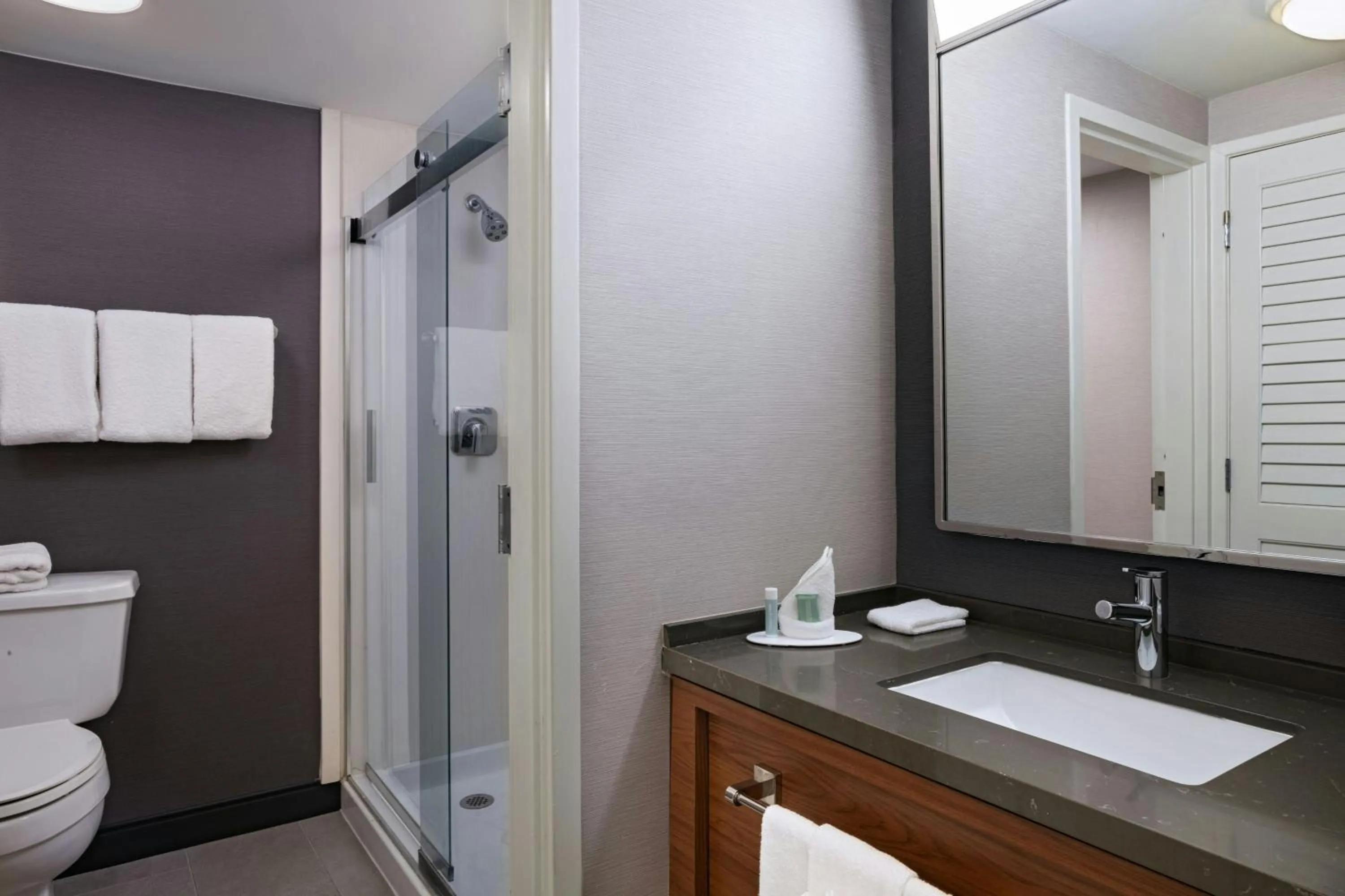 Bathroom in Courtyard by Marriott Laredo