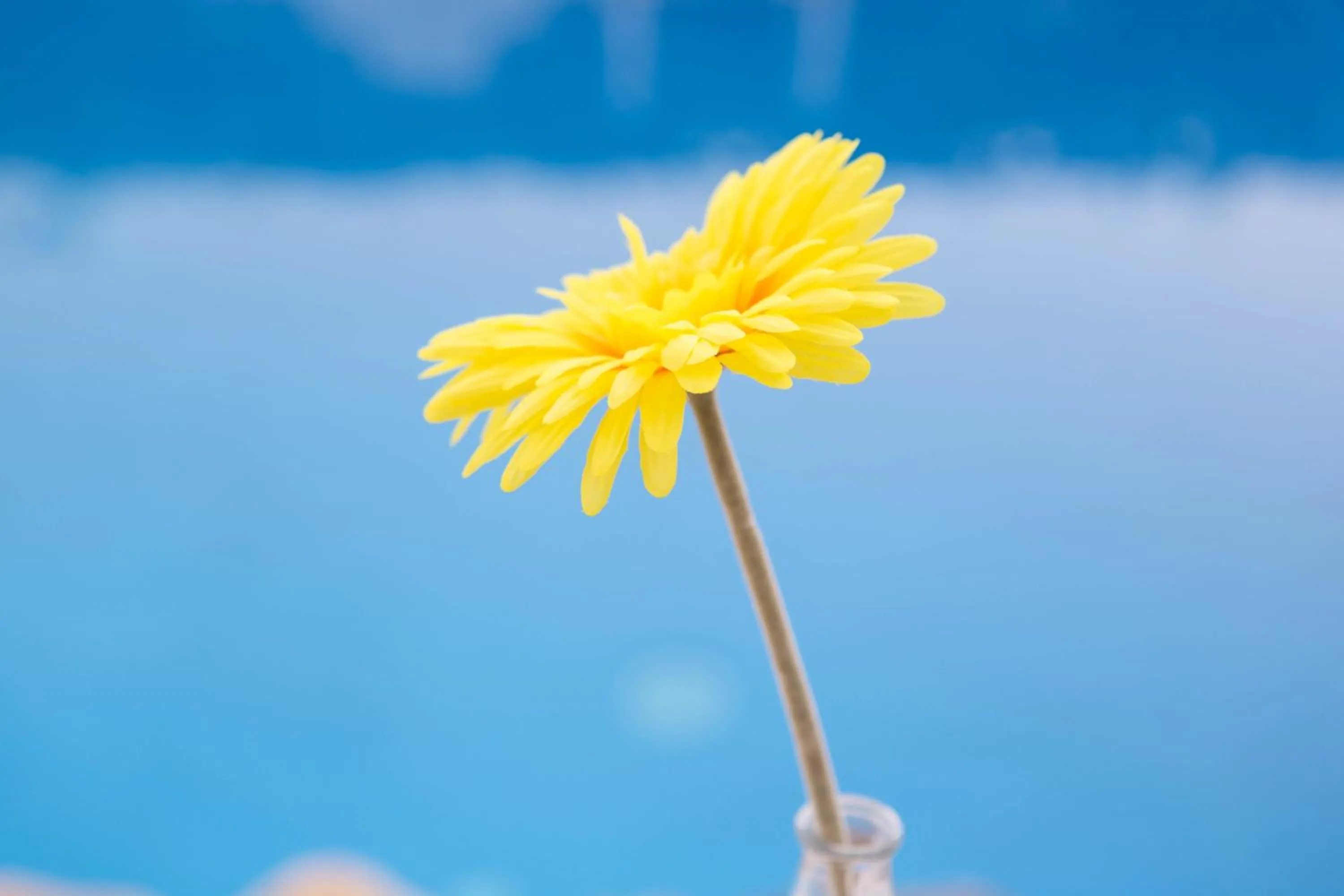 Decorative detail in Joseph Studios