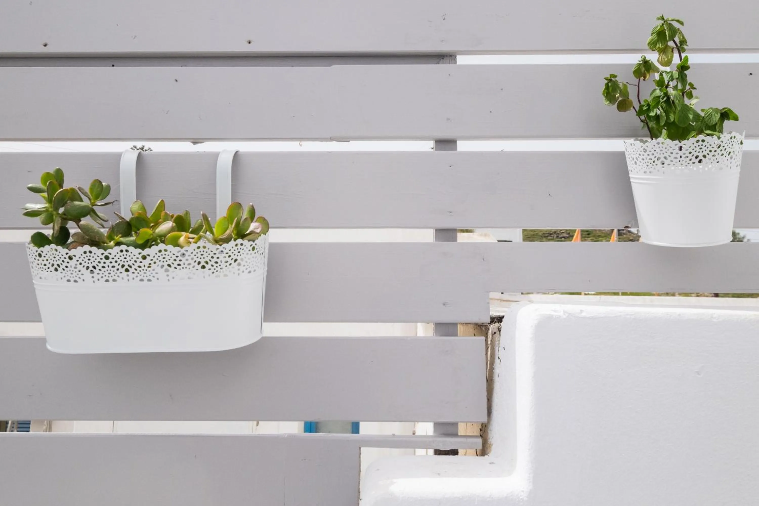 Decorative detail in Joseph Studios