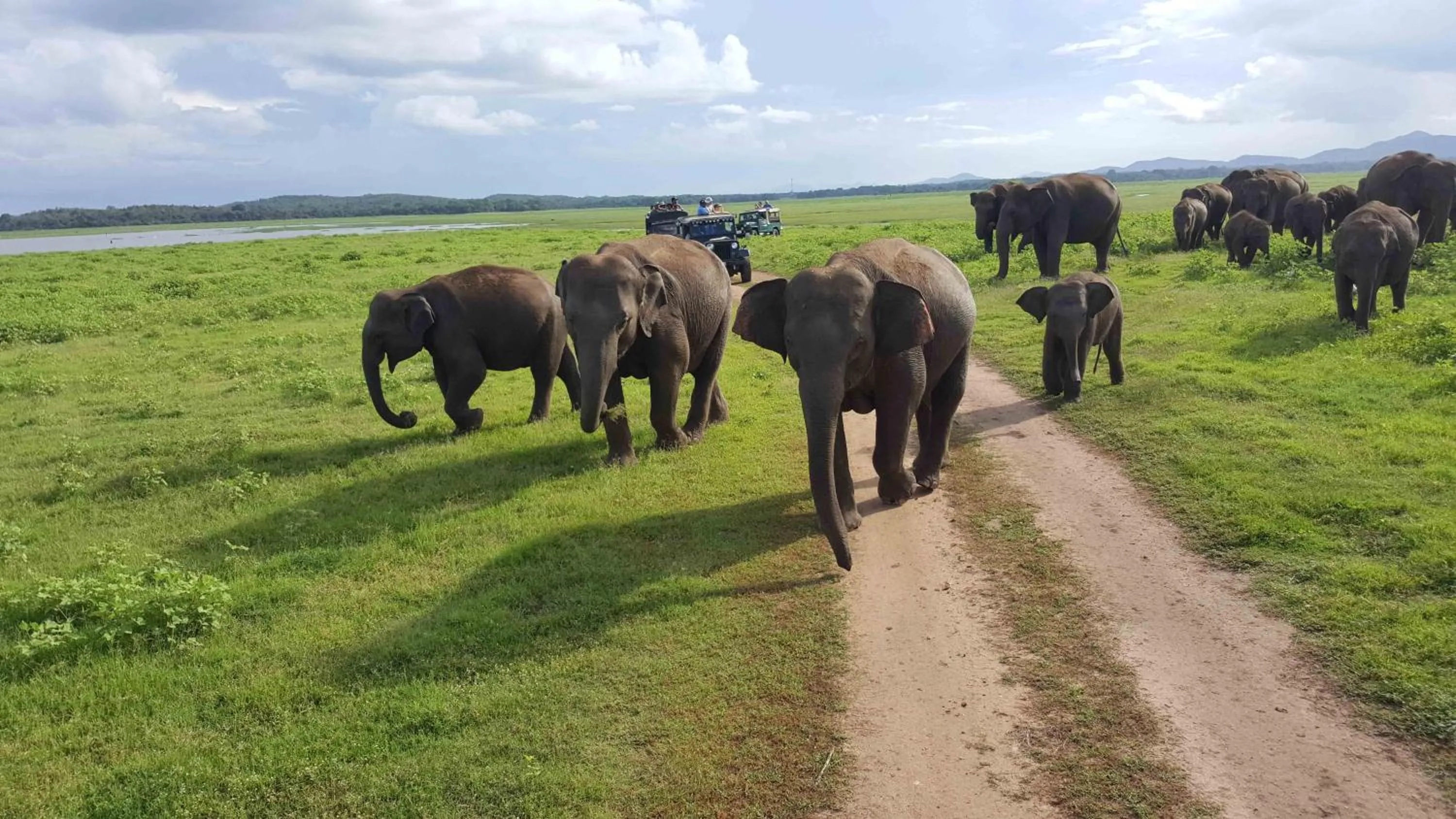 Off site in Indi Rose Garden