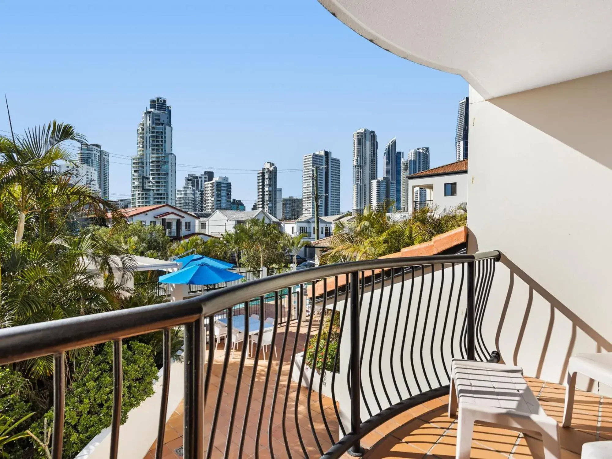 Chevron Palms by Gold Coast Premium Chevron Palms by Gold Coast Premium