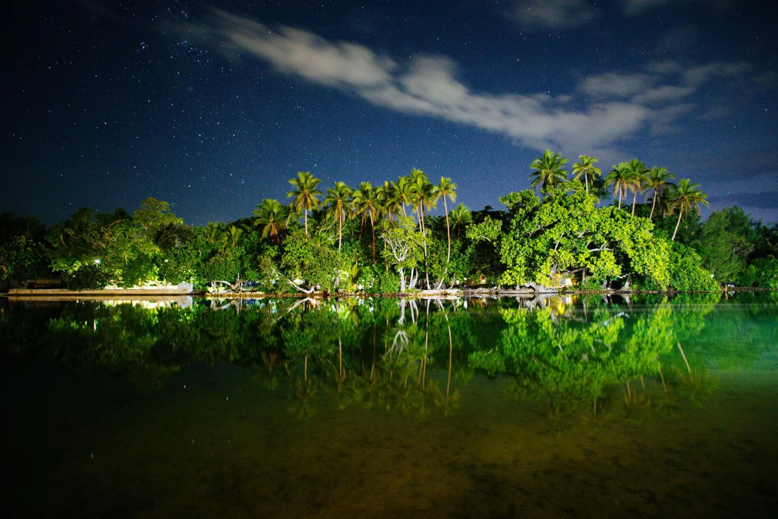Natural landscape in Tropicana Lagoon Apartments