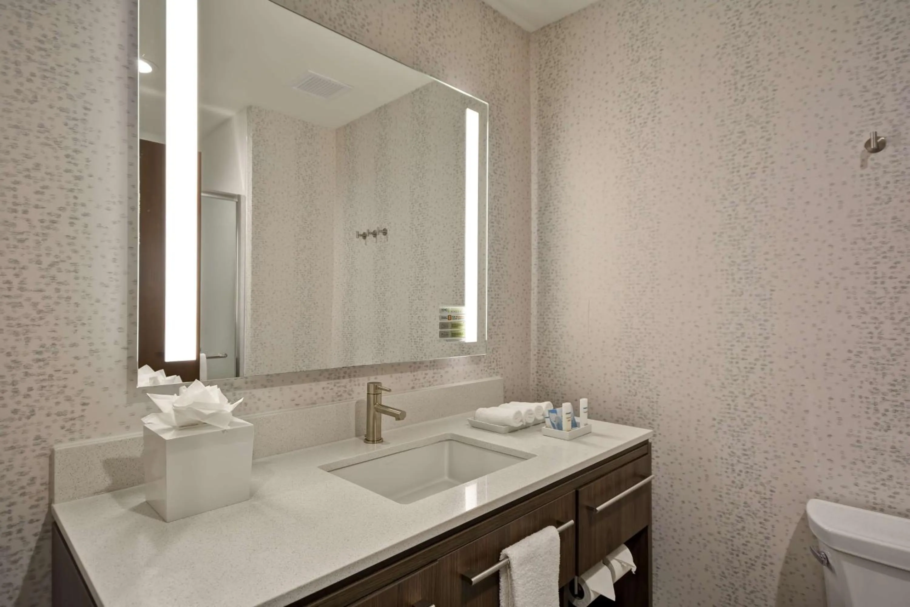 Bathroom in Home 2 Suites By Hilton Fairview Allen