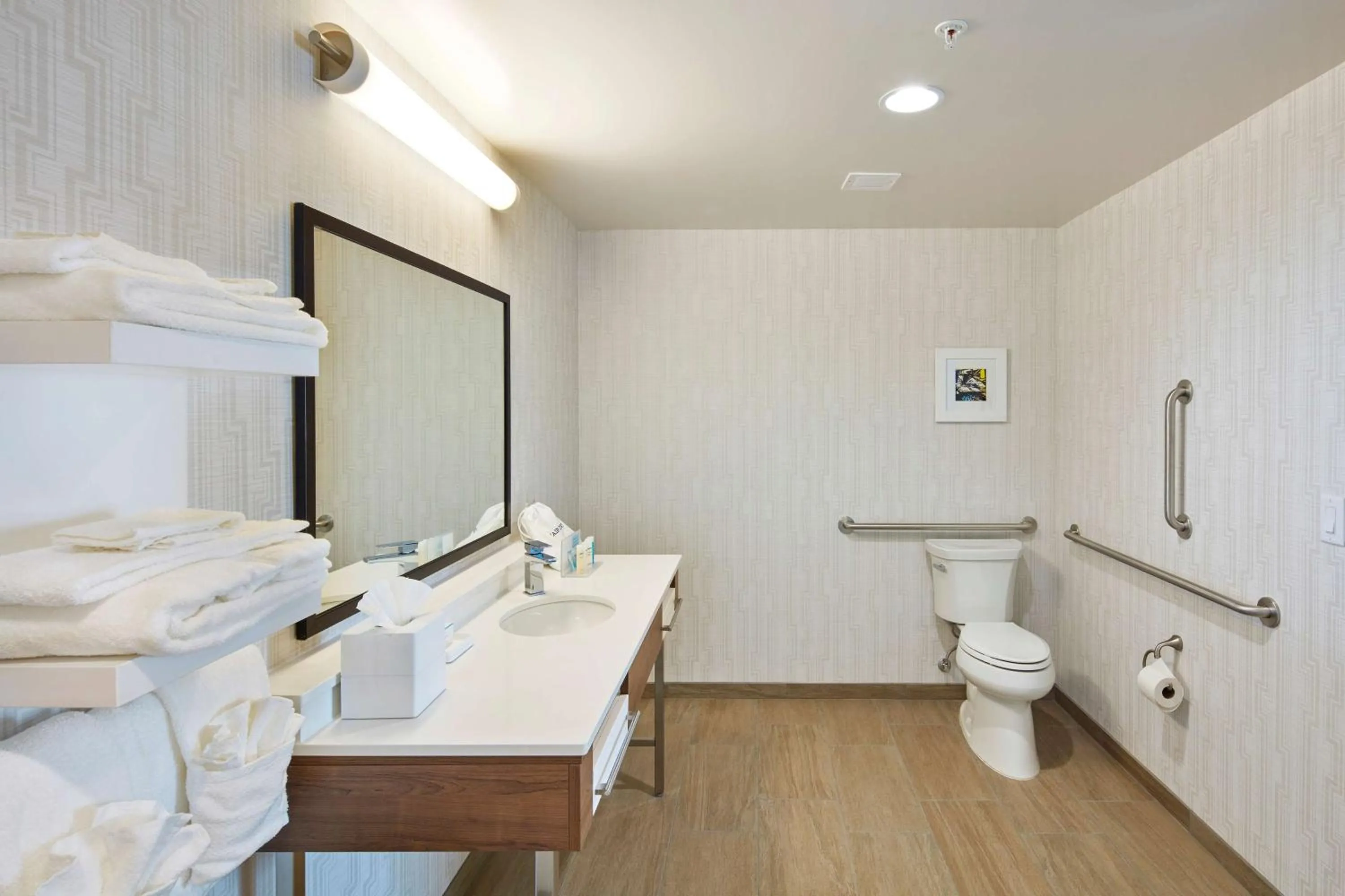 Bathroom in Hampton Inn & Suites Sacramento at CSUS