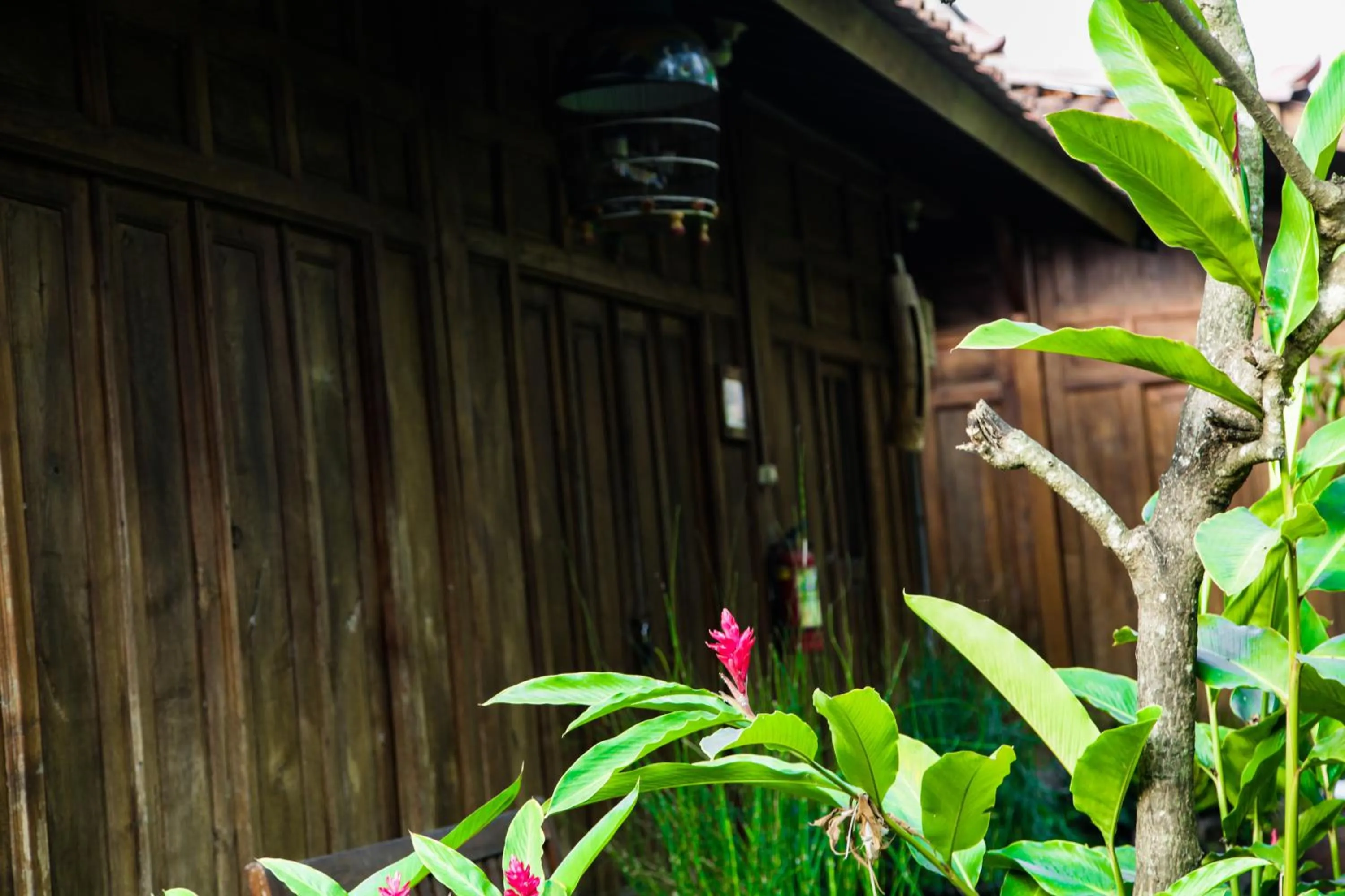 Tembi - Historical Home