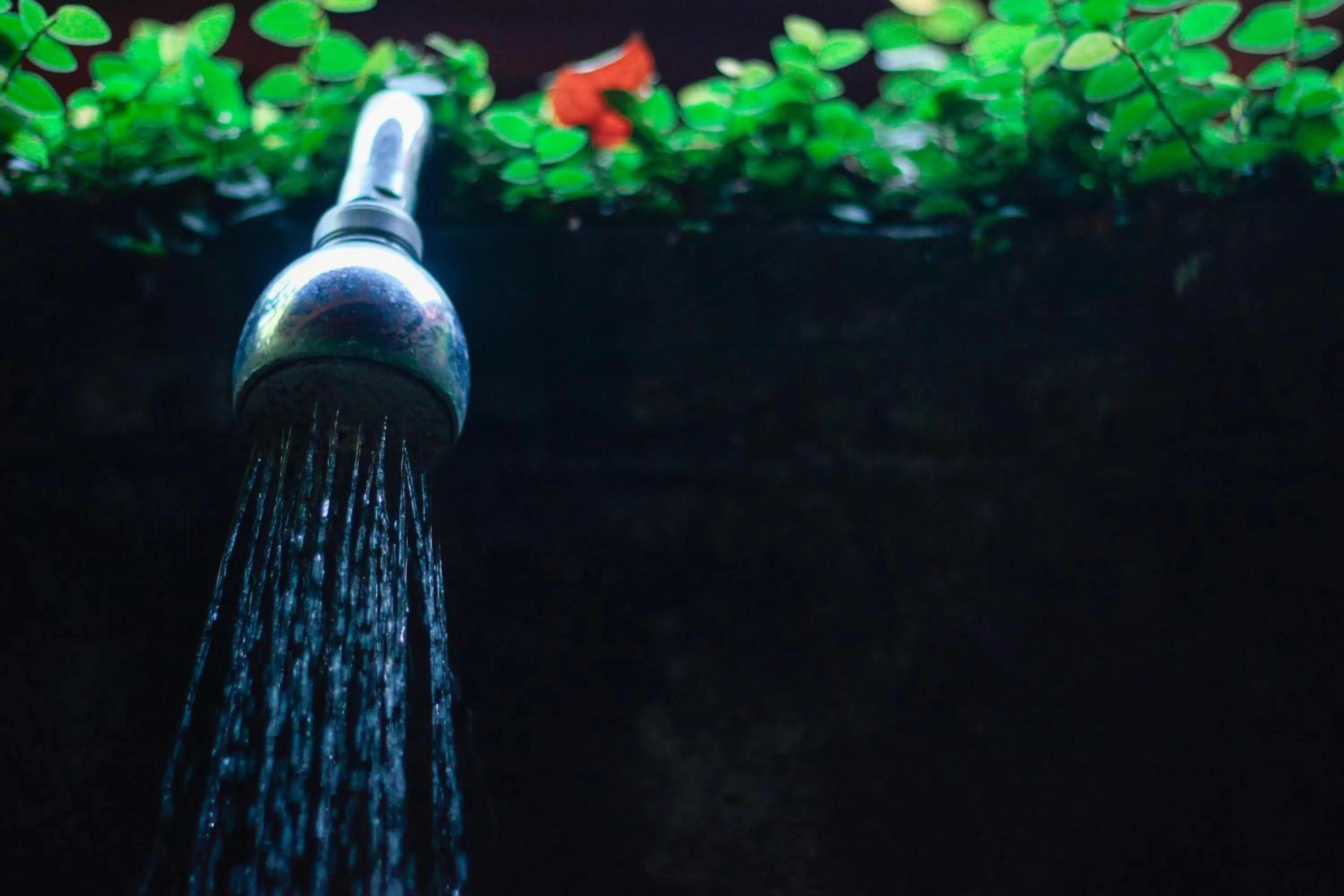 Tembi - Historical Home