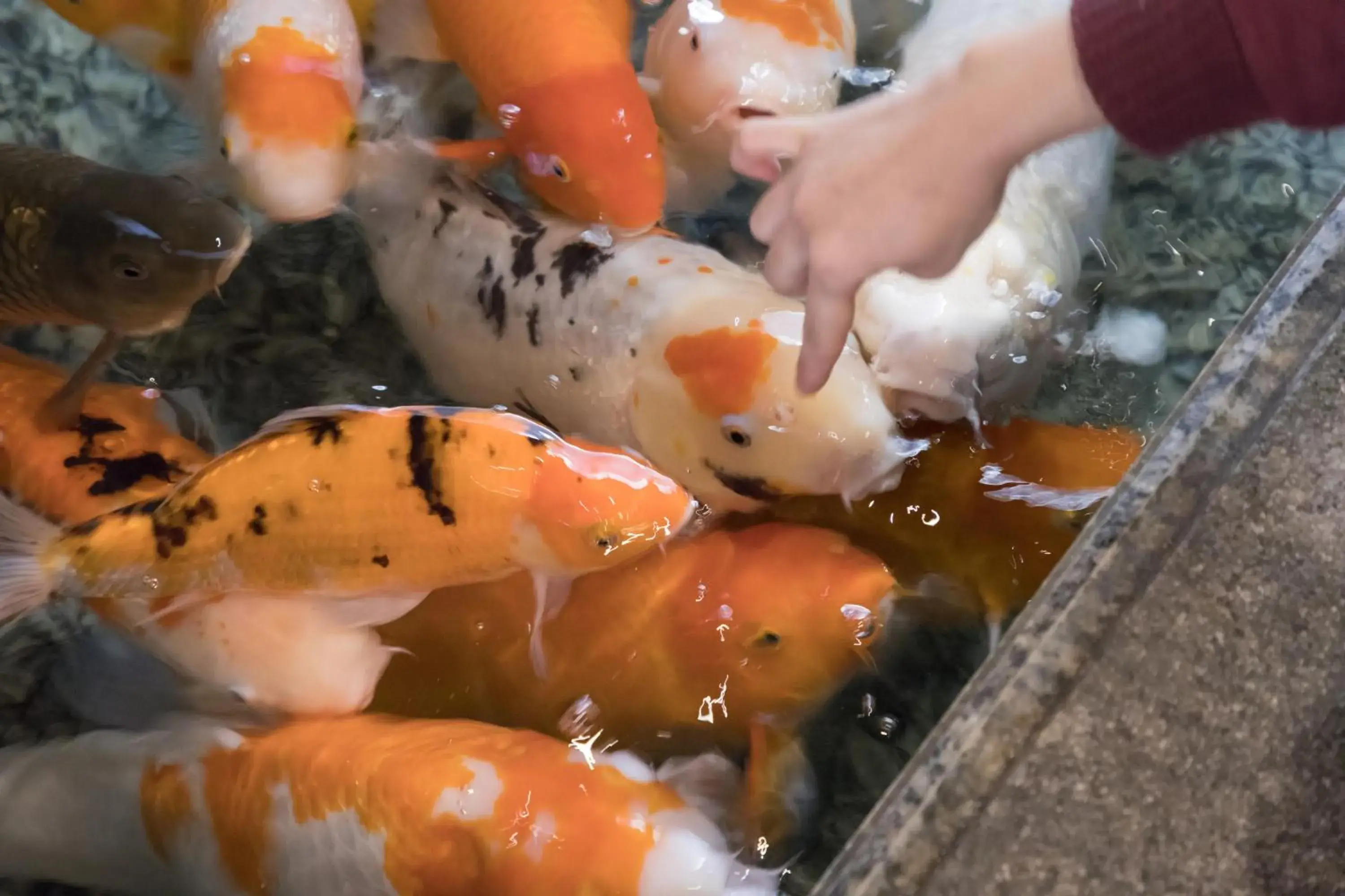 Lobby or reception in Arima Onsen Gekkoen Yugetsusanso Lobby or reception in Arima Onsen Gekkoen Yugetsusanso