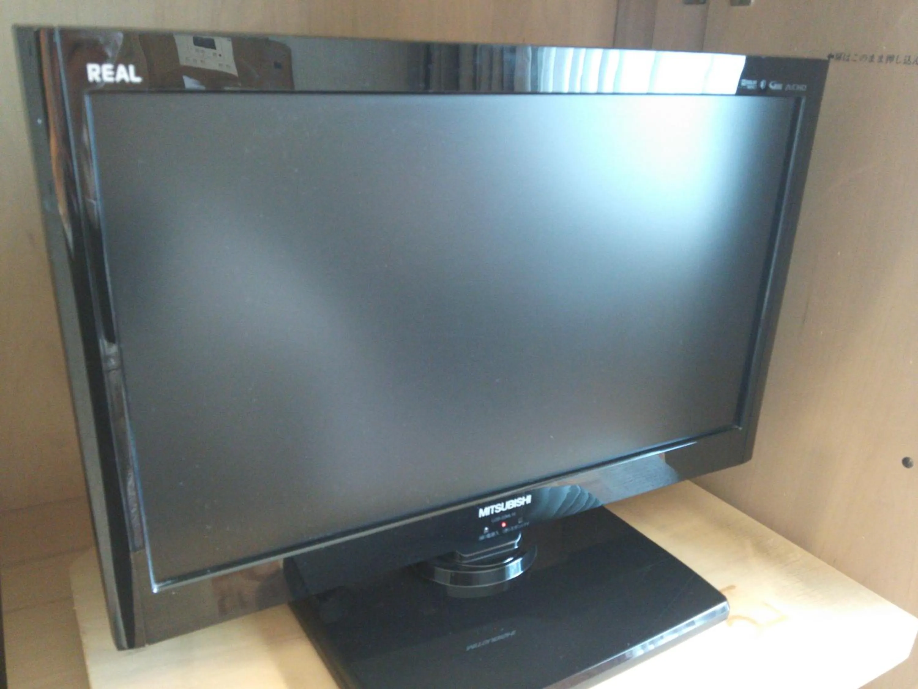 TV and multimedia in Hotel Resol Sapporo Nakajima Koen