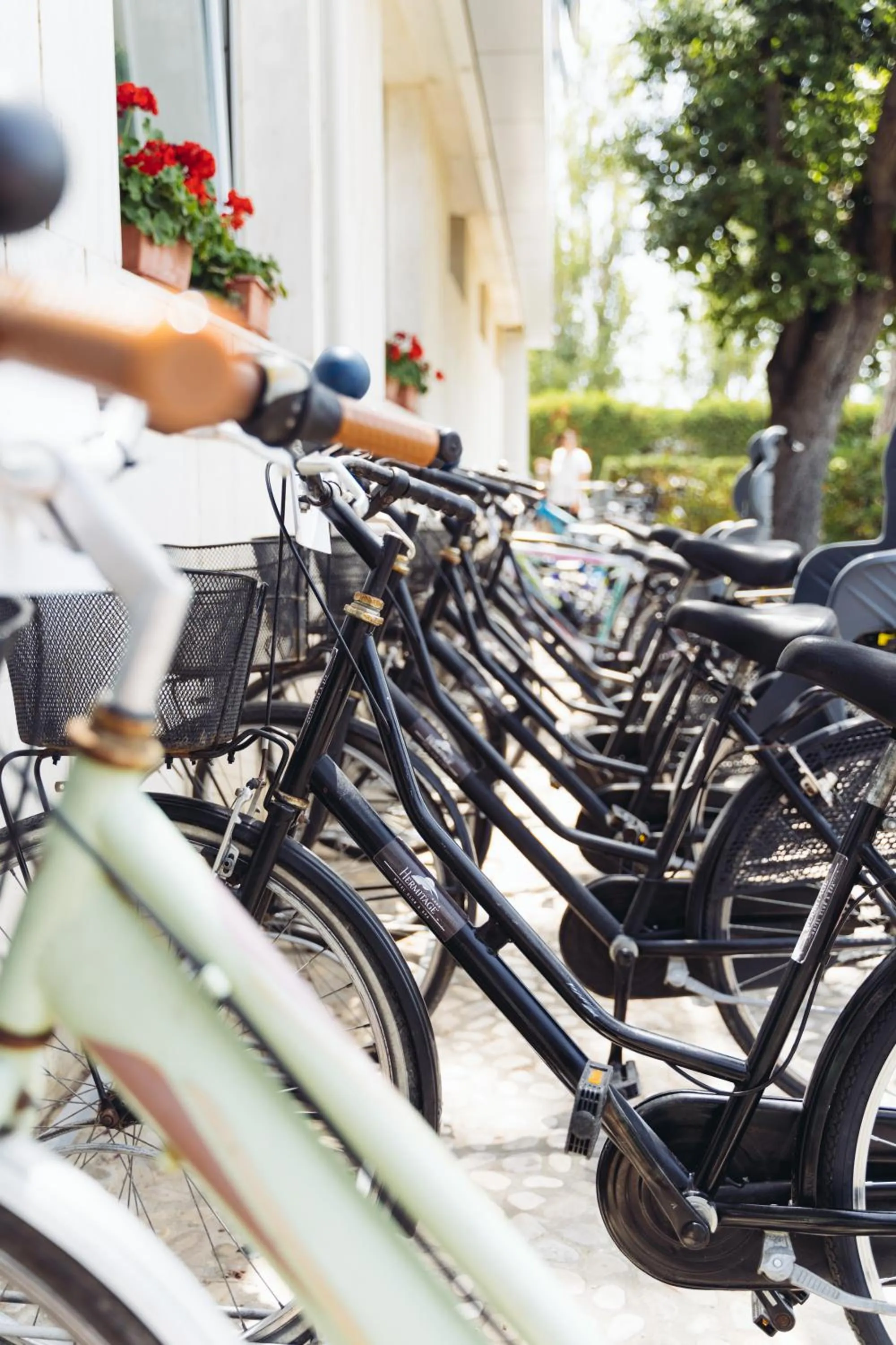 Cycling in Hermitage Hotel