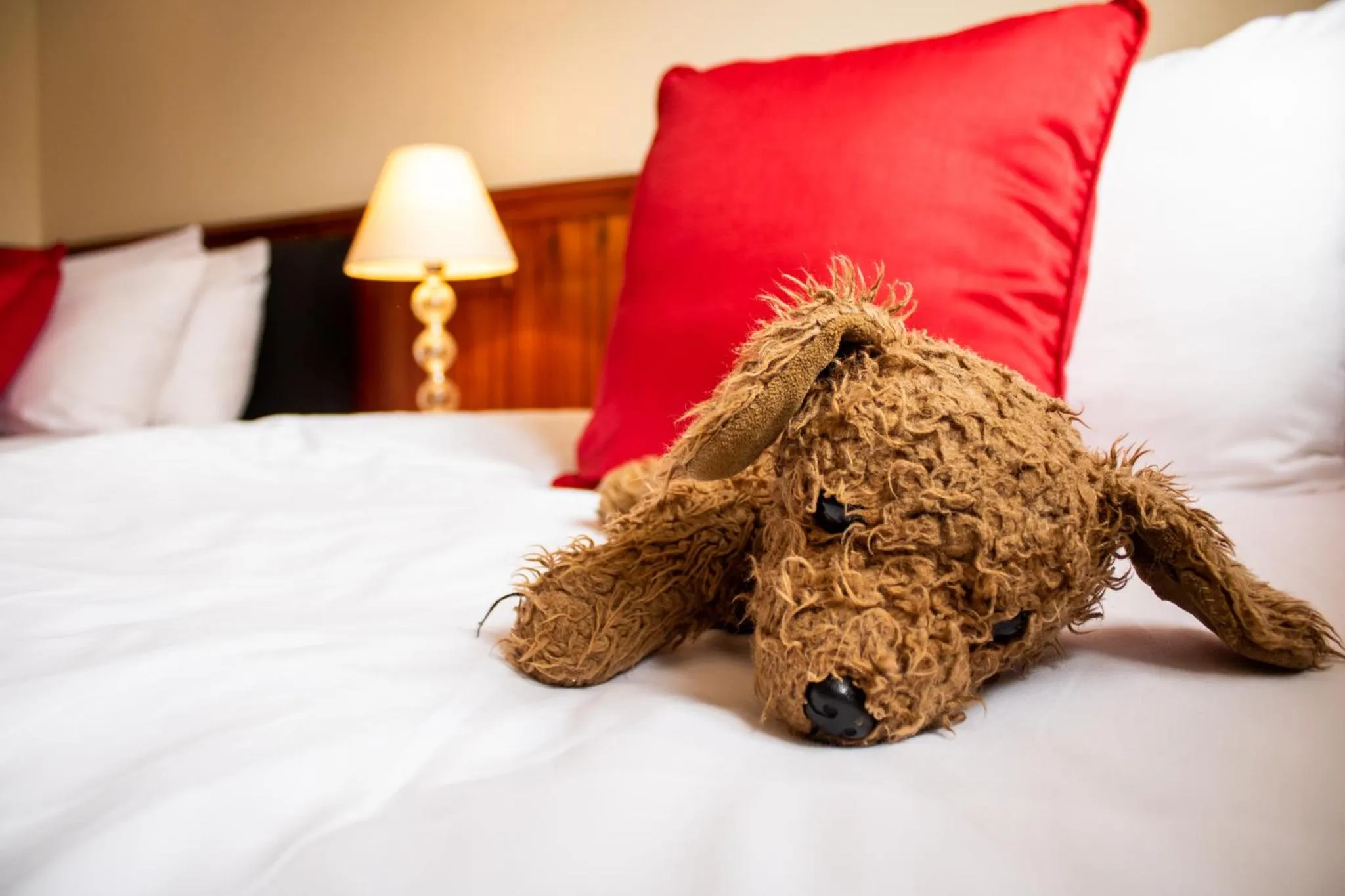 Bed in The Dolphin Hotel