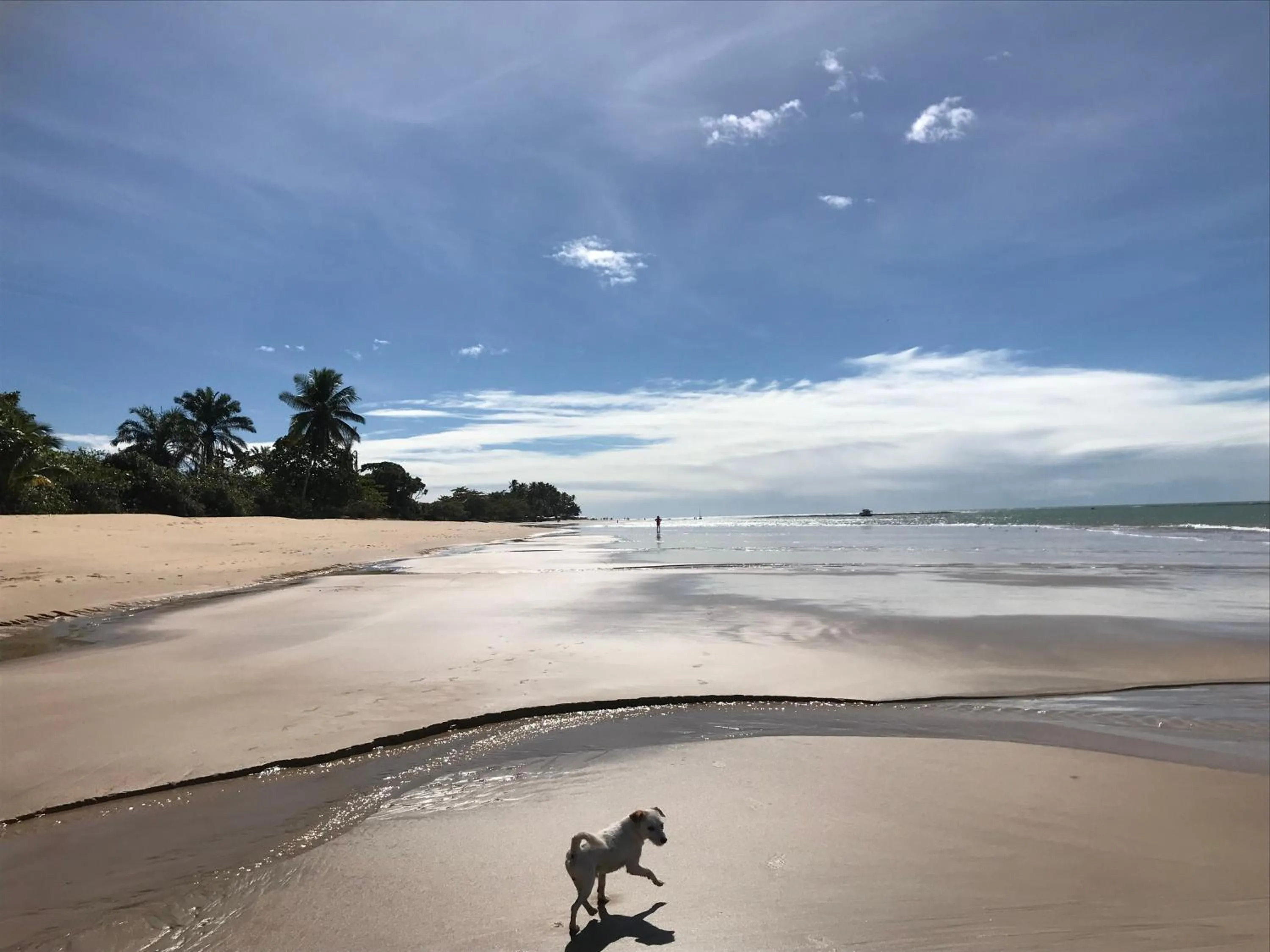 Cheiro Nativo - Chalés & Pousada