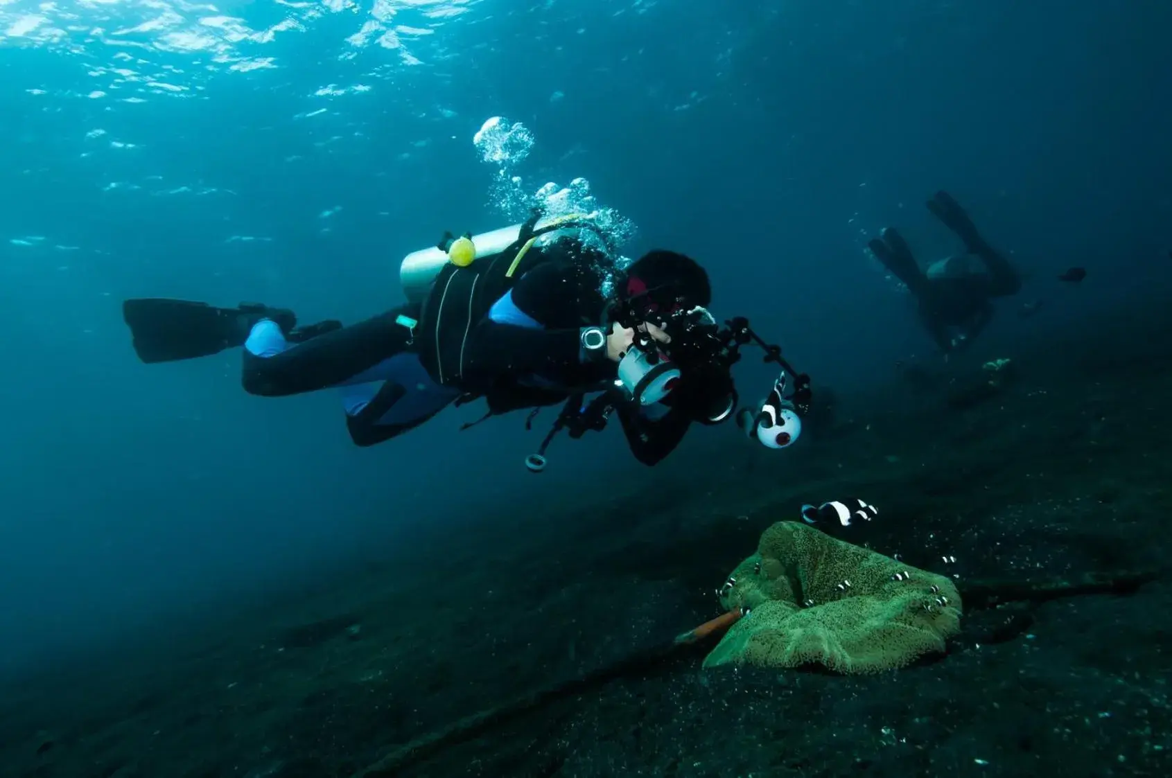 People, Snorkeling/Diving in Grand Luley Manado