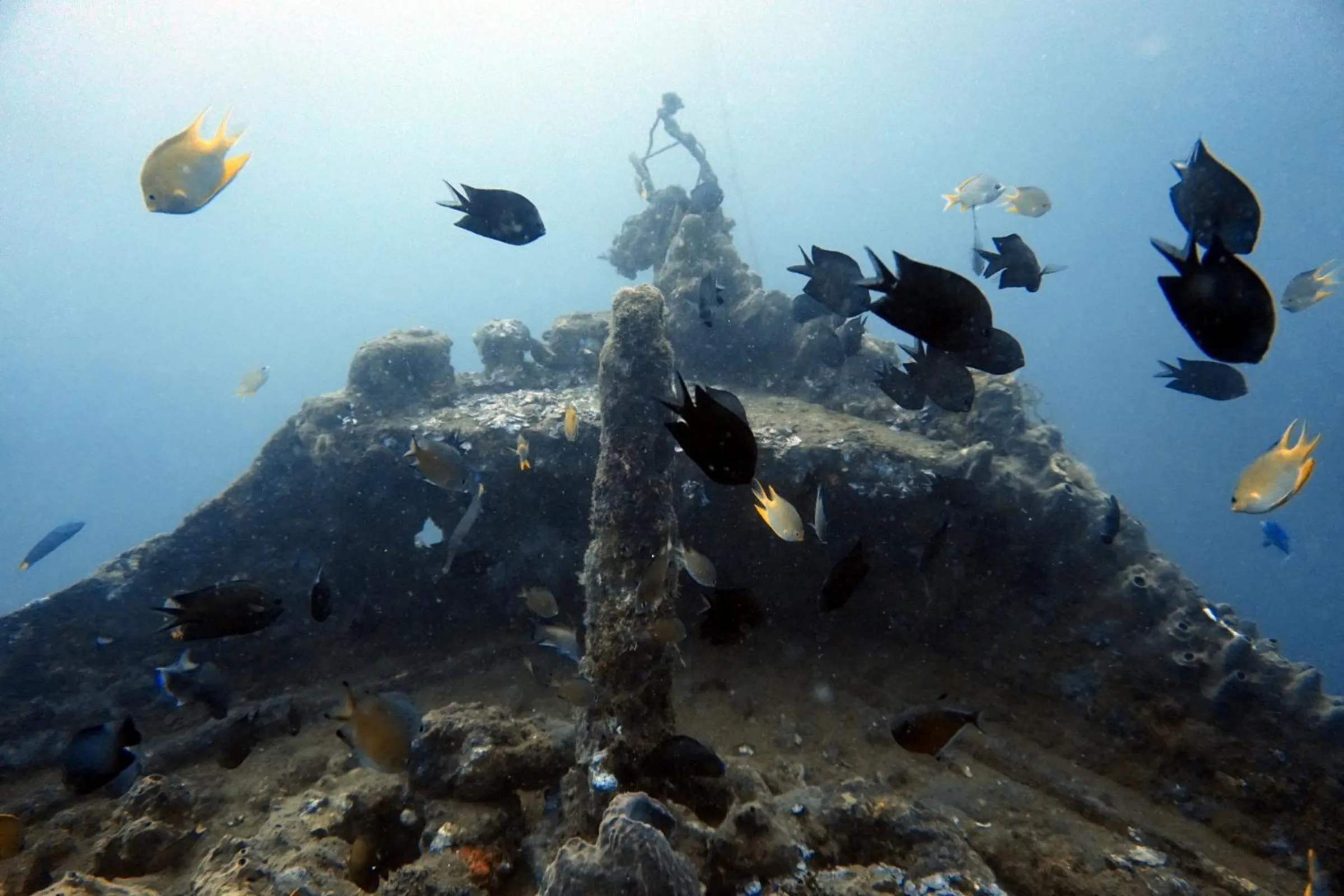 Activities in Grand Luley Manado