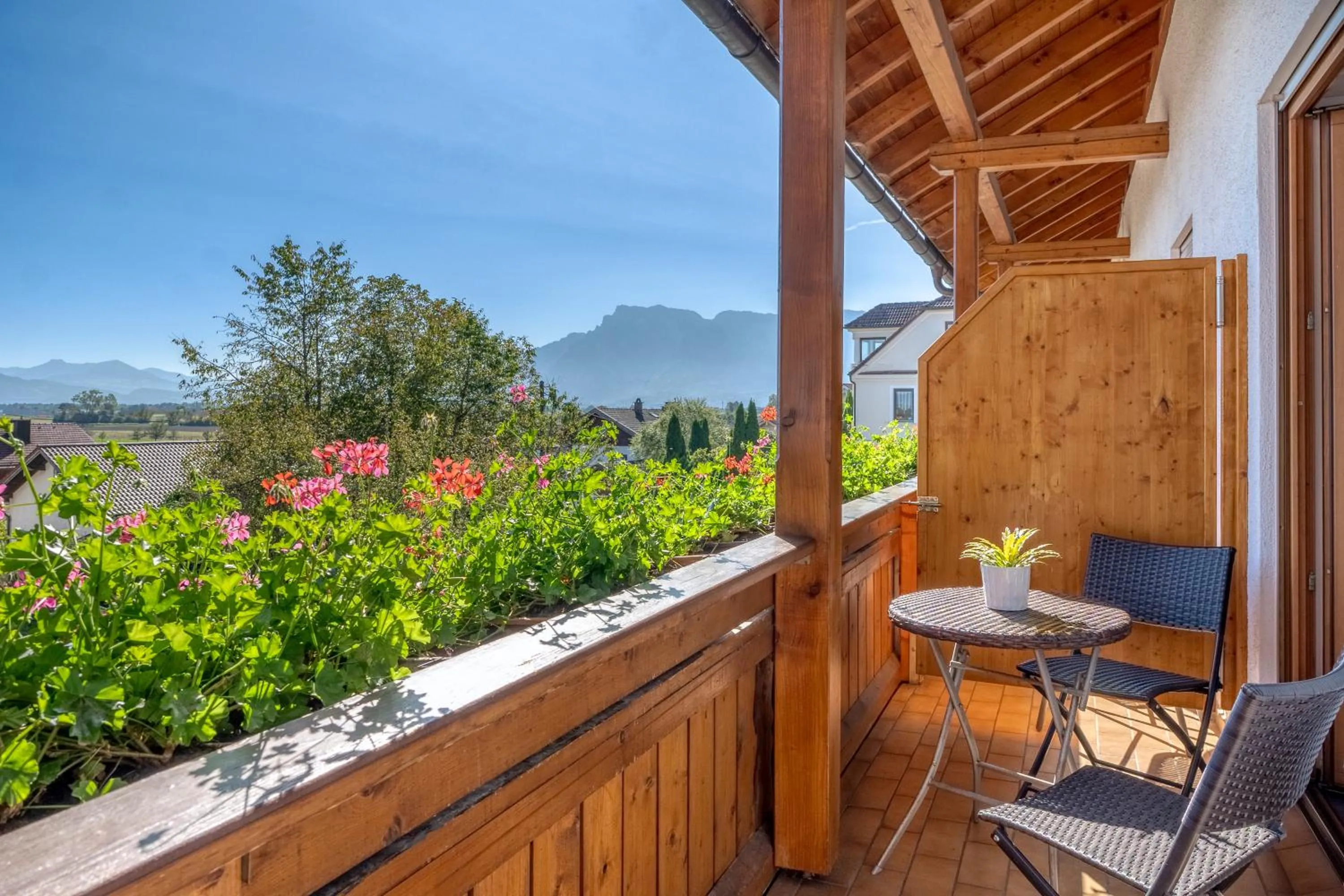 Mountain view in Hotel Schaider