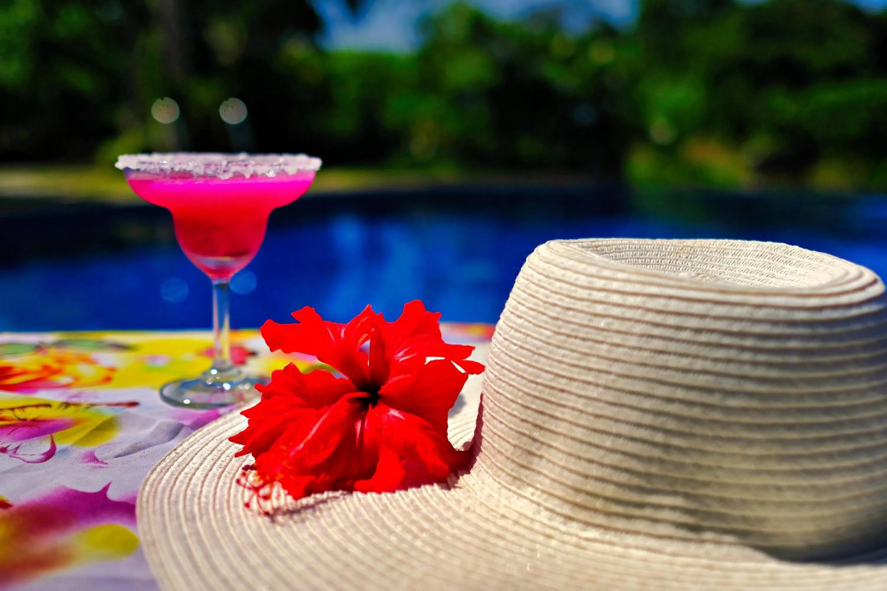 Swimming pool in Hotel Soffia