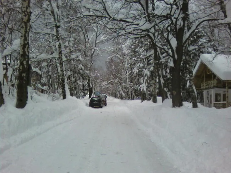 Natural landscape in Mavrikova Kushta